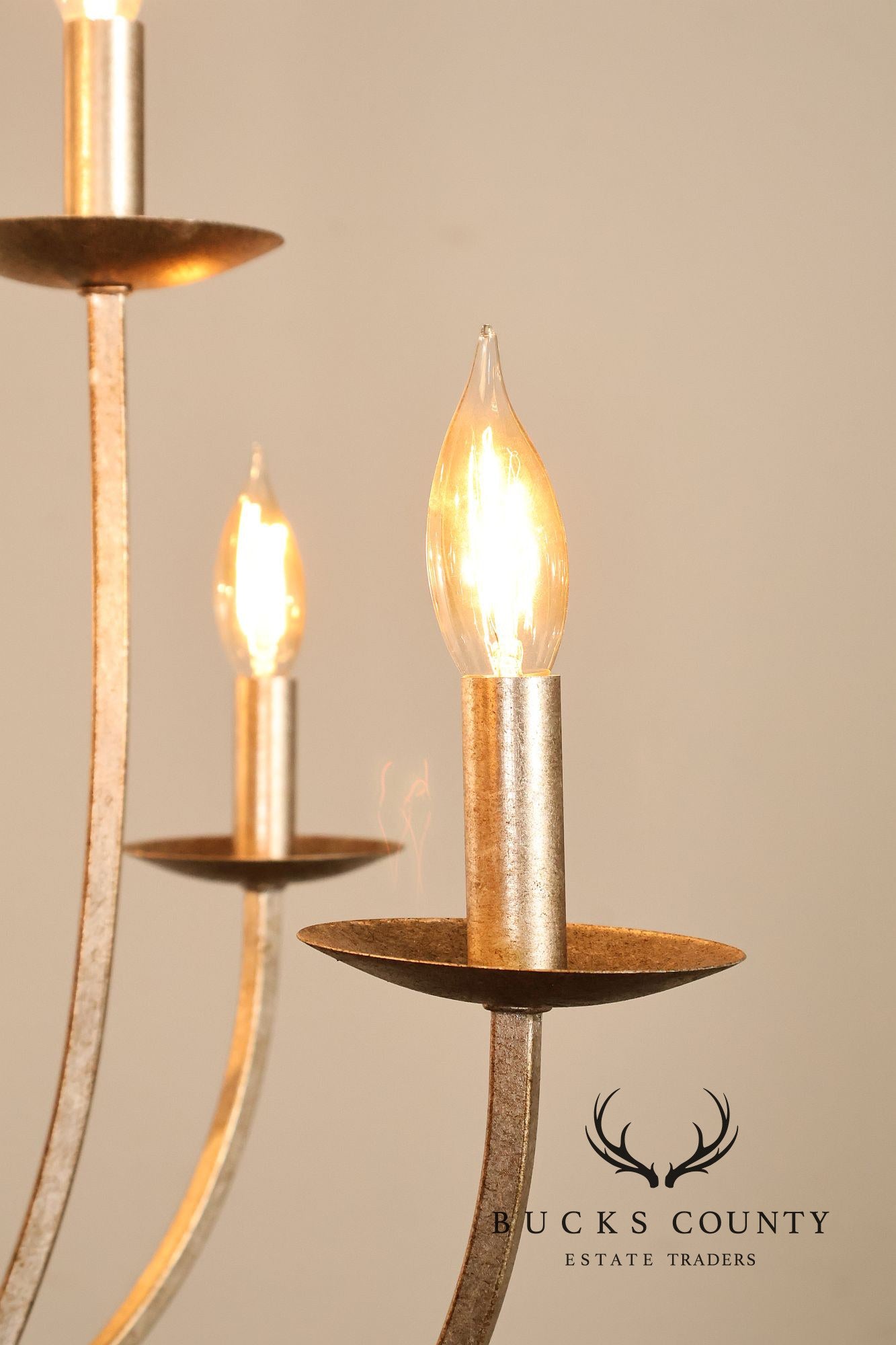 Quoizel 'Serenity' Nine-Light Candelabra Chandelier