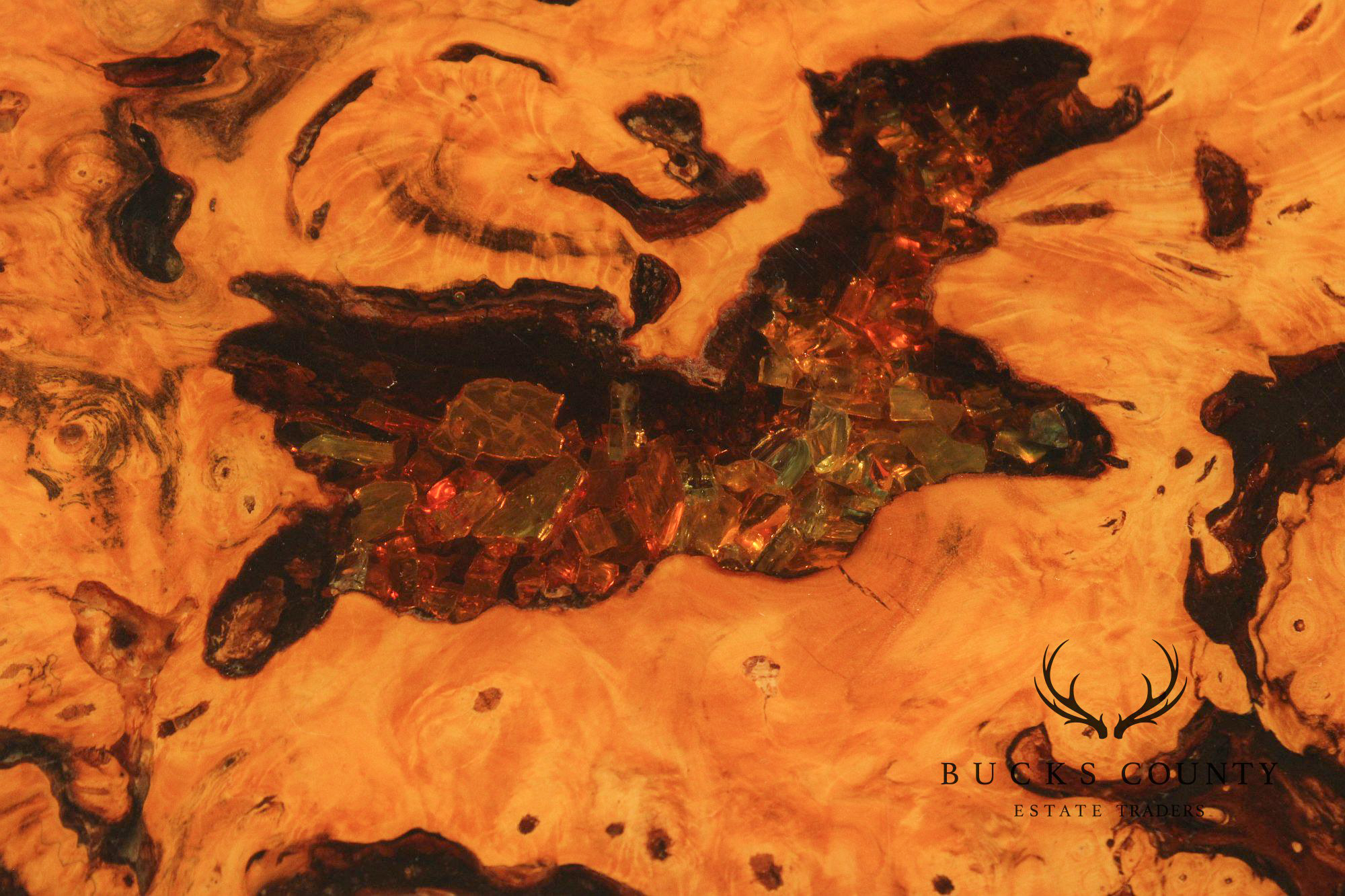 The Burlwood Co. Star Dust Redwood Burl Live Edge Coffee Table