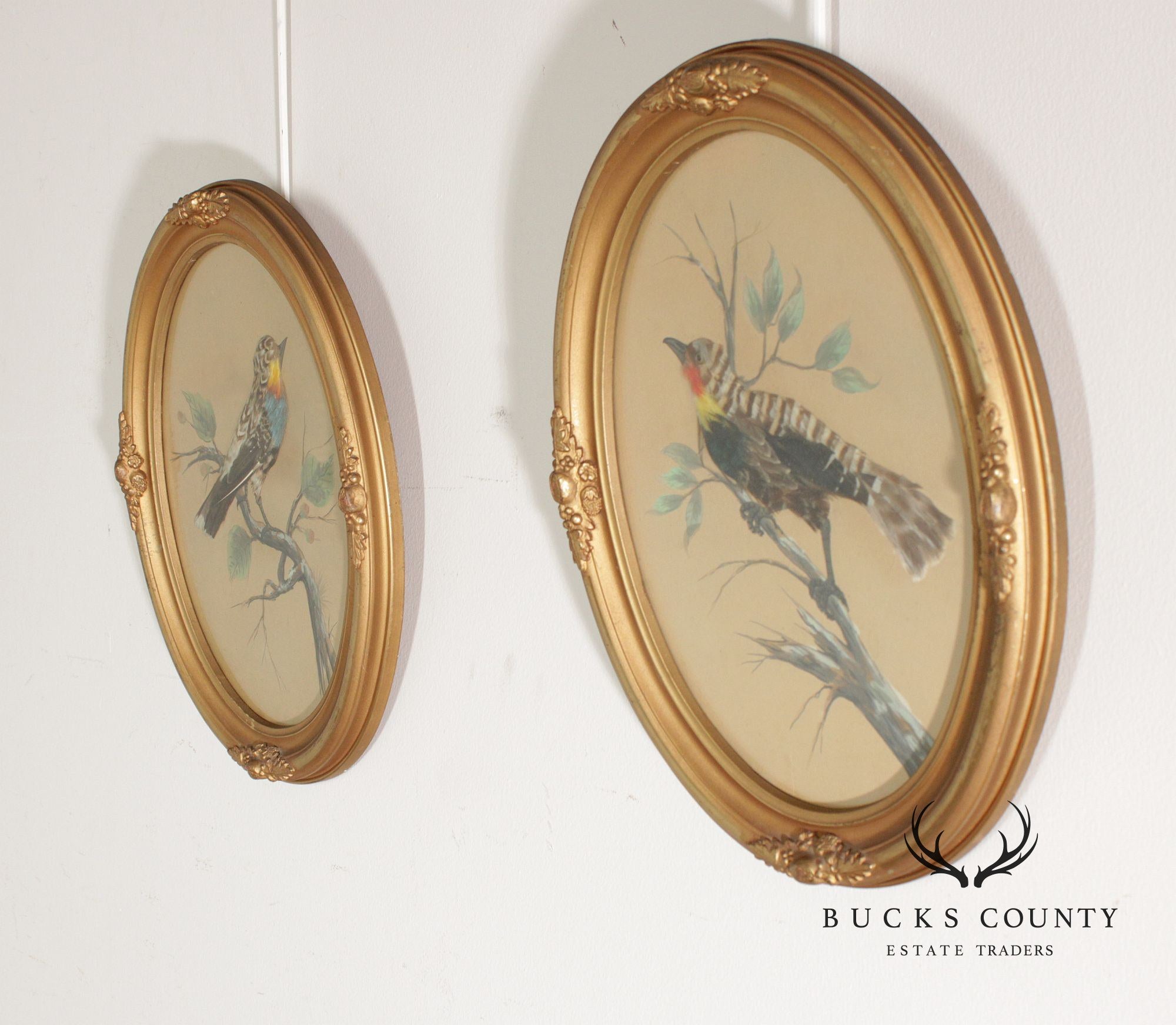Antique Pair of Feather Art Bird Paintings
