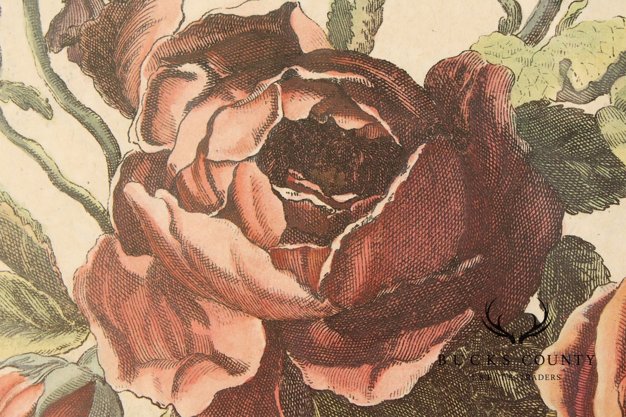 Windsor Art Pair of Decorative Framed Floral Prints