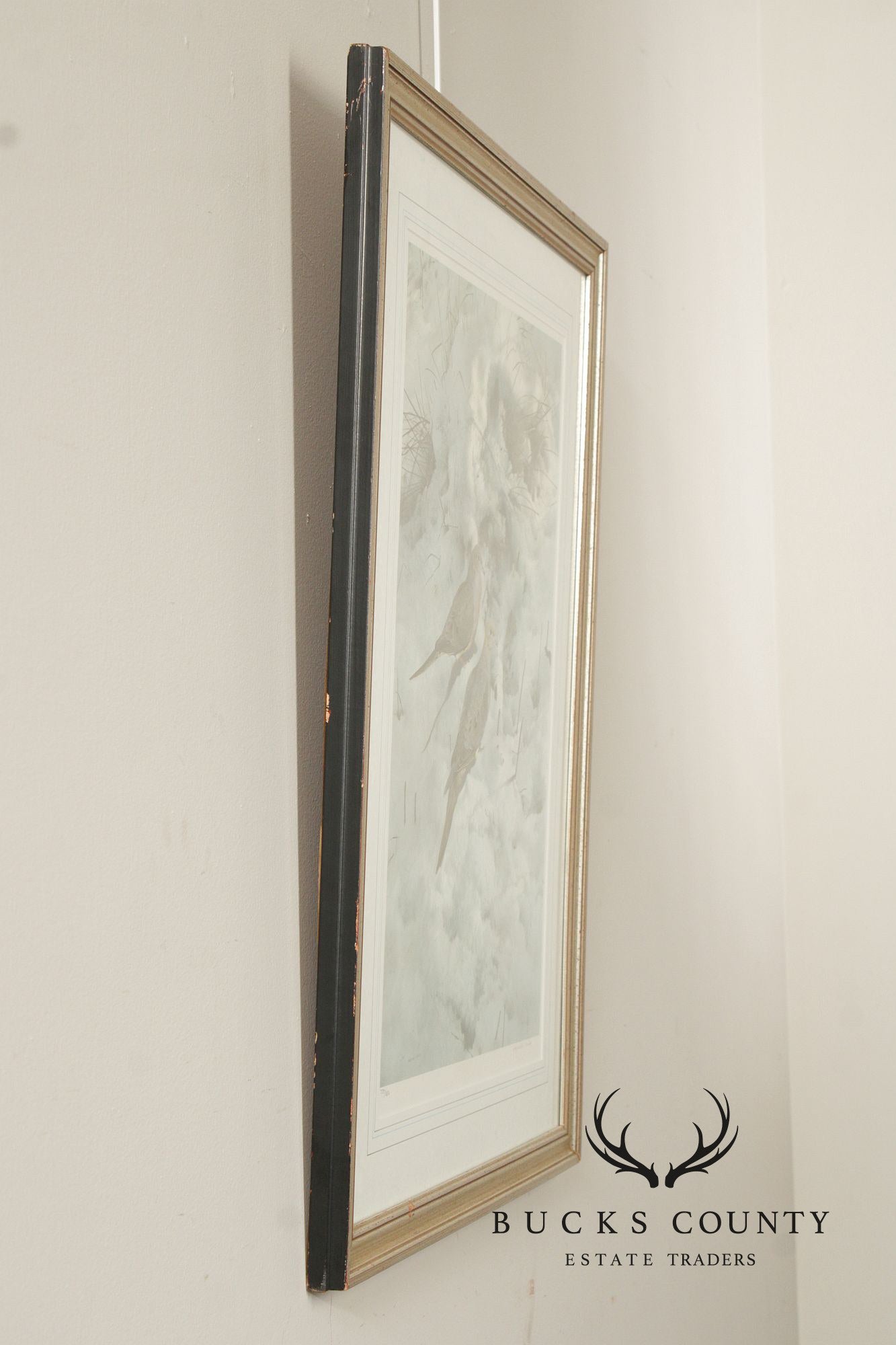 Raymond Harris-Ching Limited Edition Print, 'Mourning Doves'