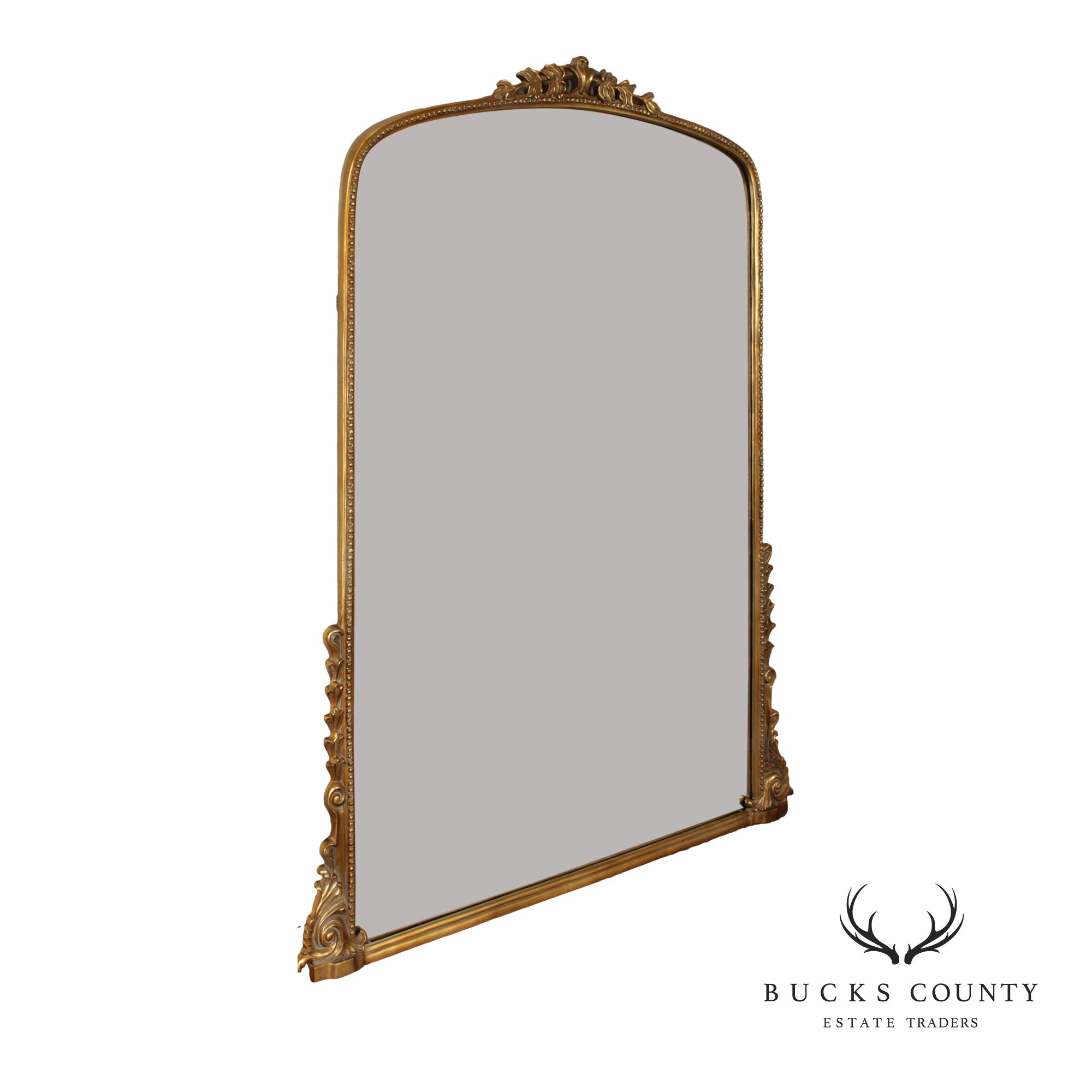 Anthropologie Oversized 'Gleaming Primrose' Mirror