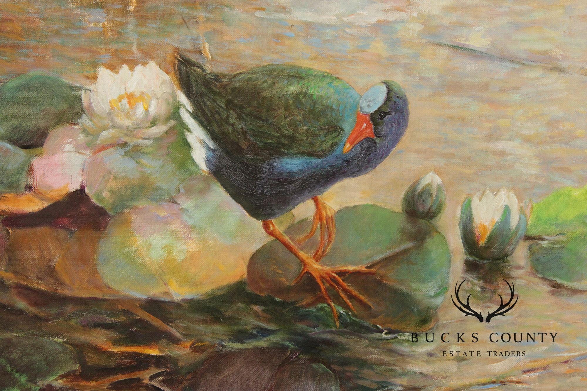 Walter Greer Oil Painting, 'Pond with Galinule'
