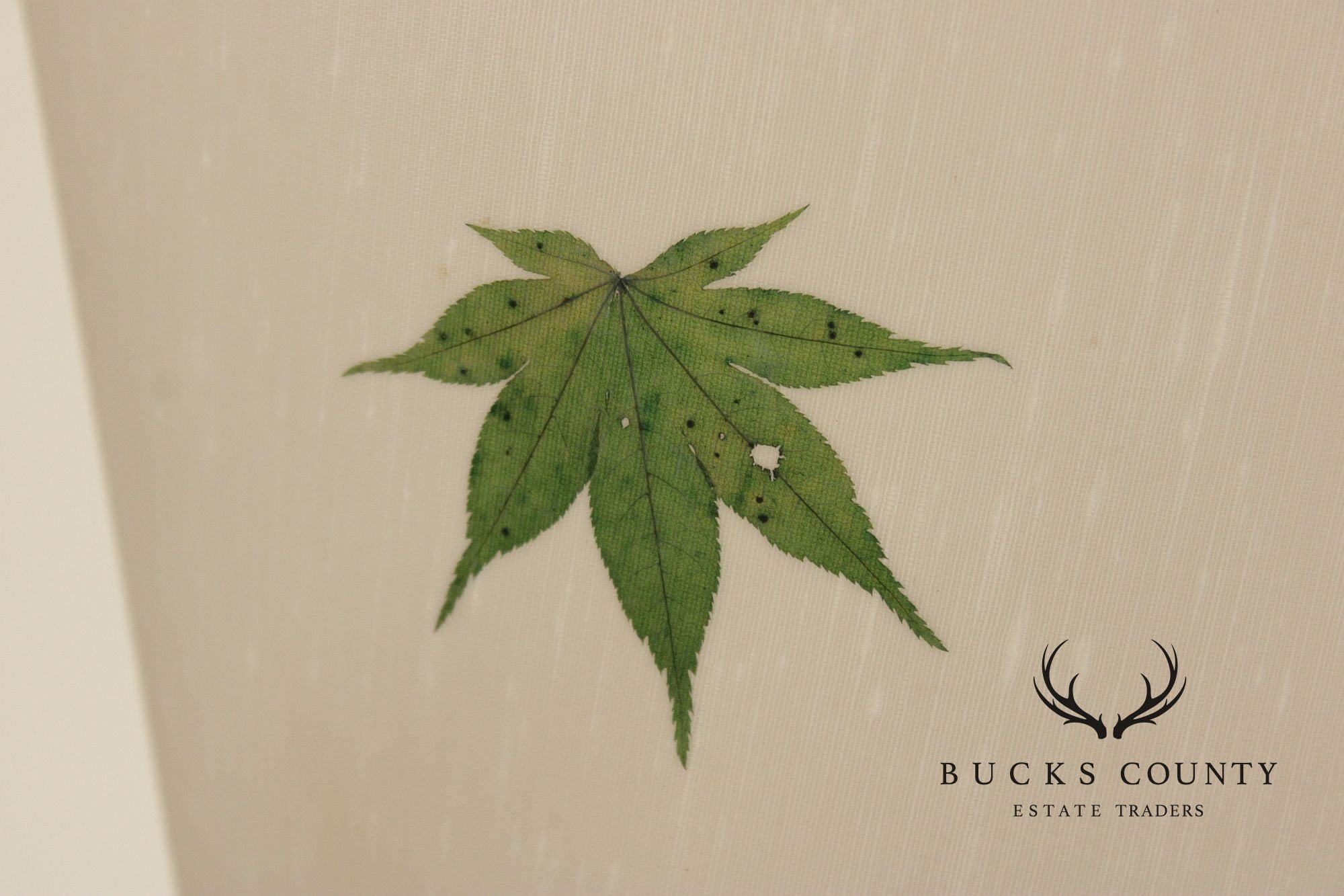 Modeline Mid Century Modern Walnut Floor Lamp