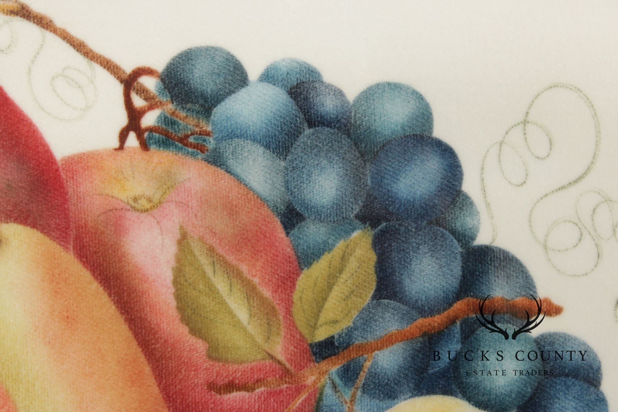 Linda Brubaker Fruit Theorem Painting on Velvet