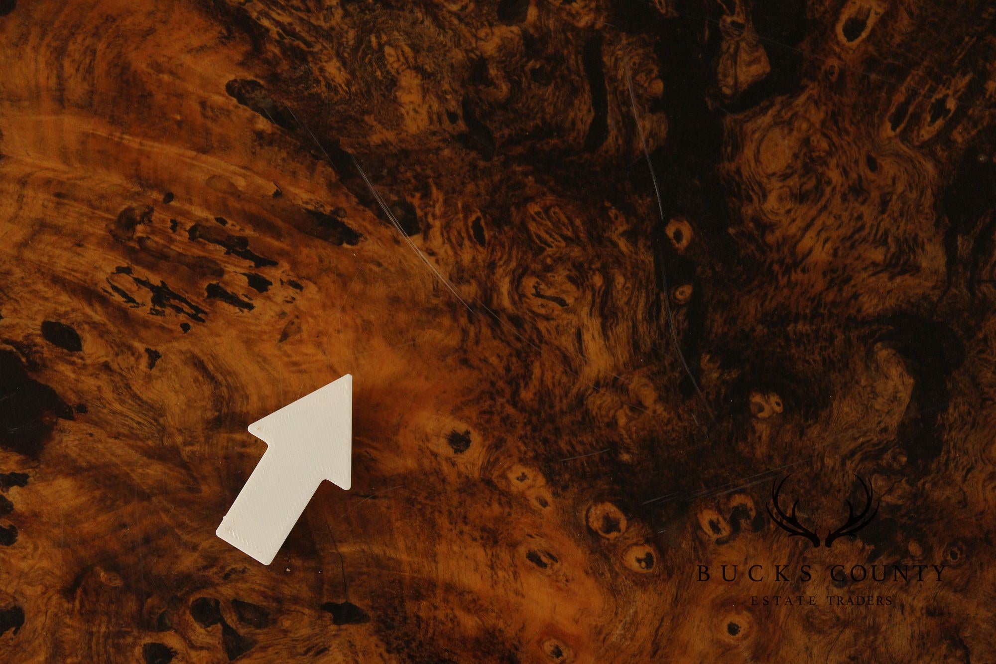 The Burlwood Co. Star Dust Redwood Burl Live Edge Coffee Table