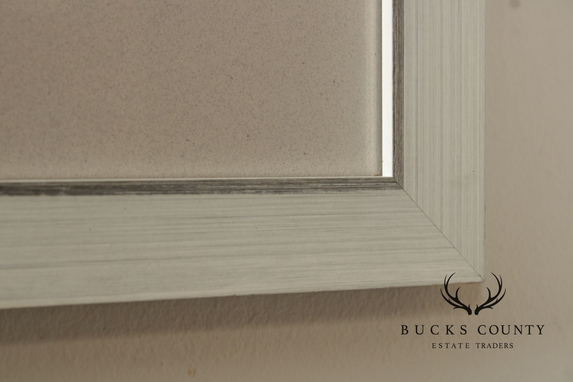 John James Audubon Ornithological Print, 'Trumpeter Swan'