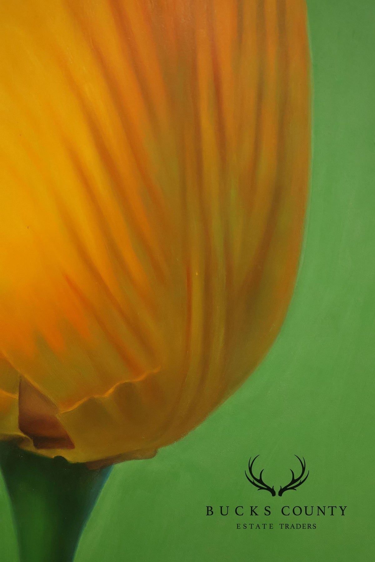 Artist Signed Photorealistic Oil Painting, Tulips