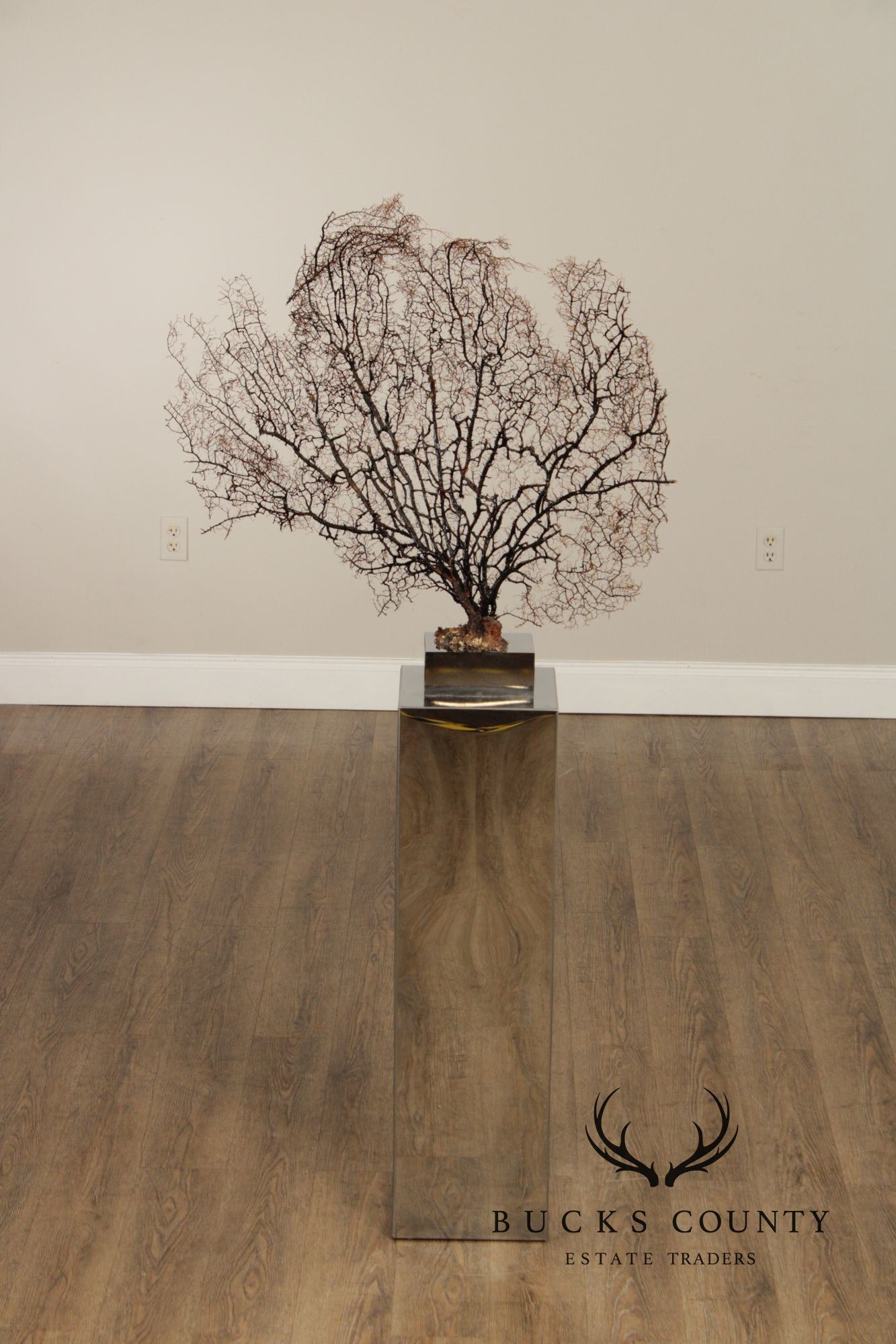 Modern Style Polished Stainless Steel Pedestal With Coral Fan Sculpture