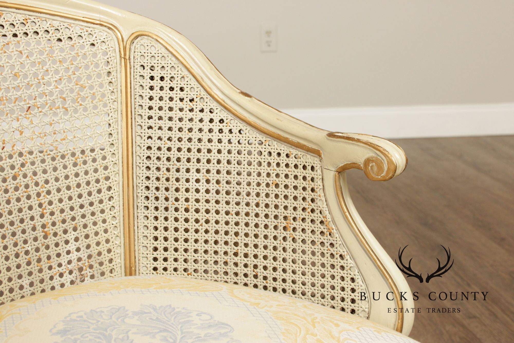 French Provincial Style Barrel Back Caned Lounge Chair and Ottoman
