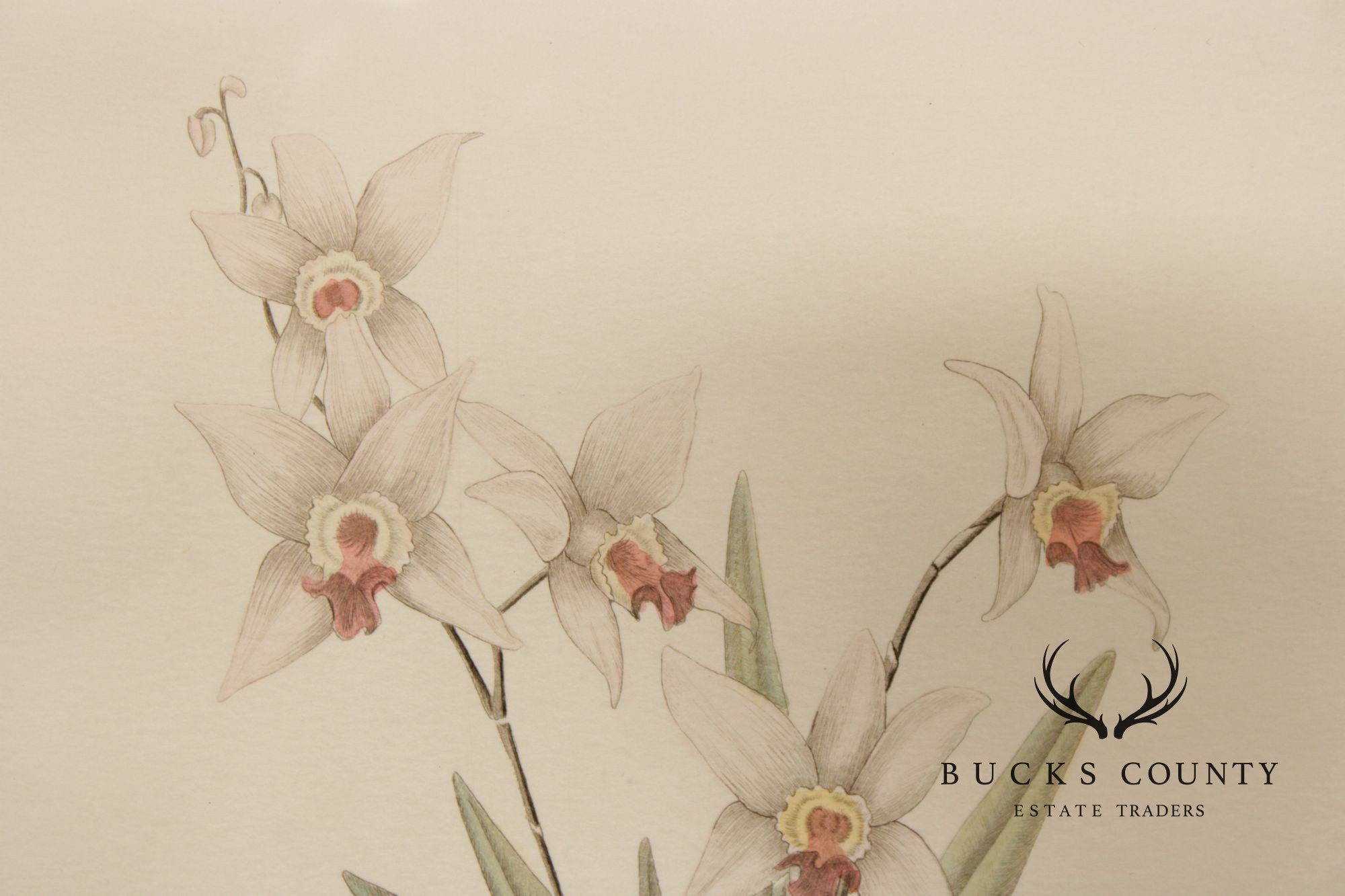 Rick Loudermilk Pair of Signed Limited Edition Prints, 'Orchid III' & 'Orchid IV'