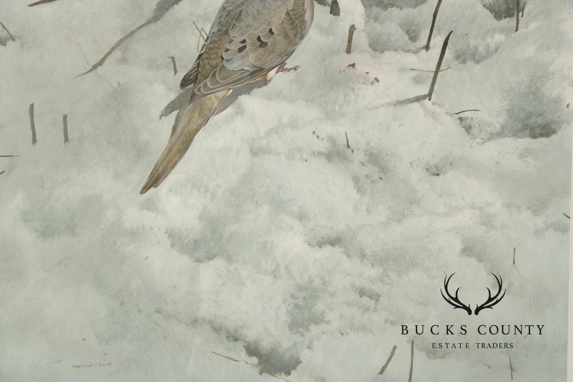 Raymond Harris-Ching Limited Edition Print, 'Mourning Doves'