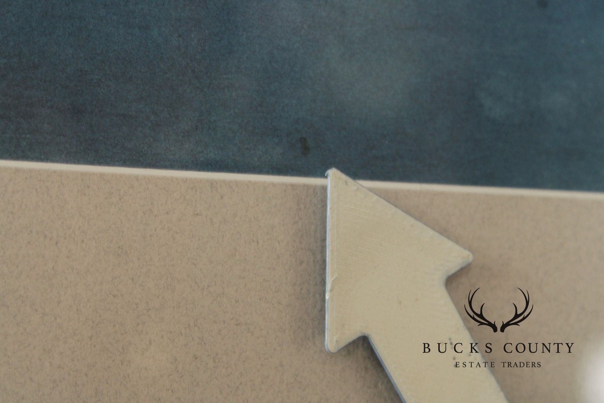 John James Audubon Ornithological Print, 'Trumpeter Swan'