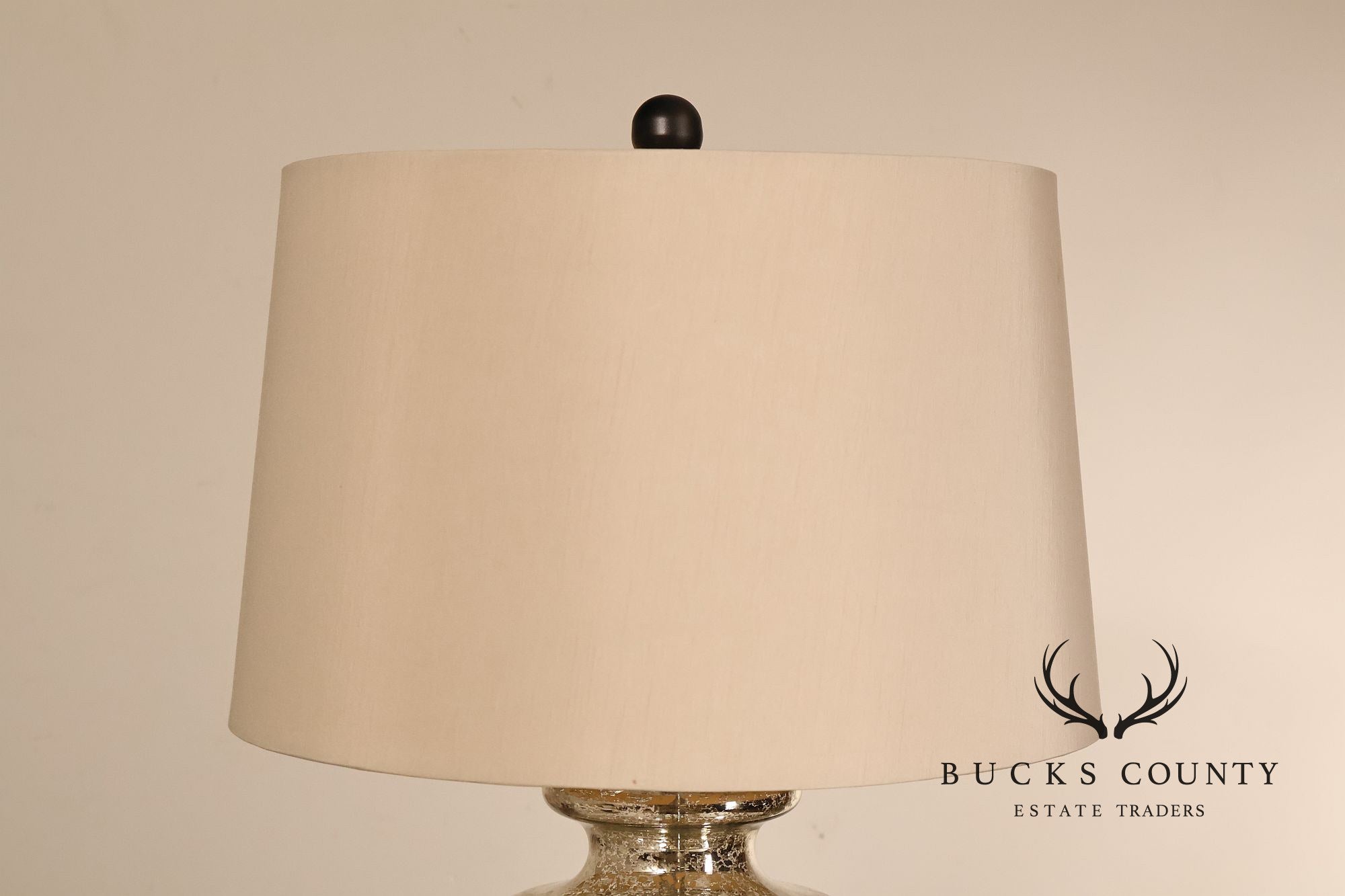 Contemporary Mercury Glass Table Lamp