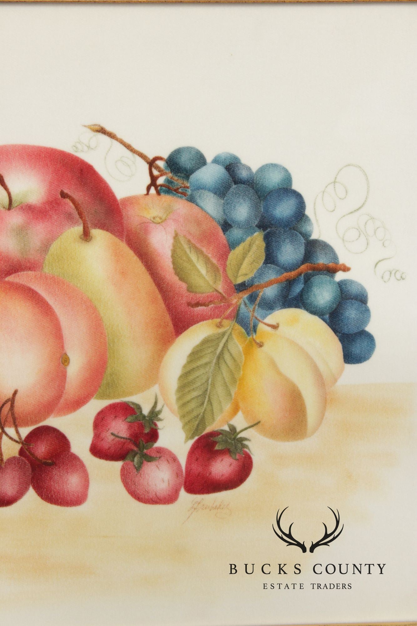 Linda Brubaker Fruit Theorem Painting on Velvet