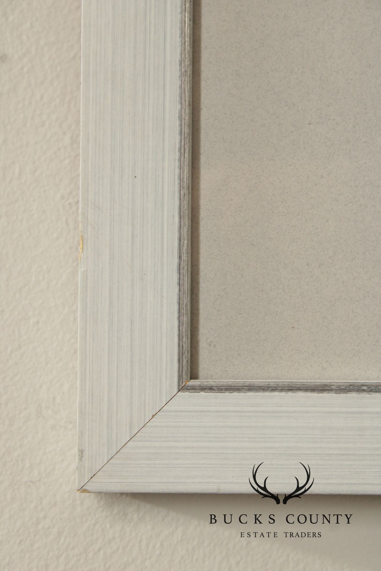 John James Audubon Ornithological Print, 'Trumpeter Swan'