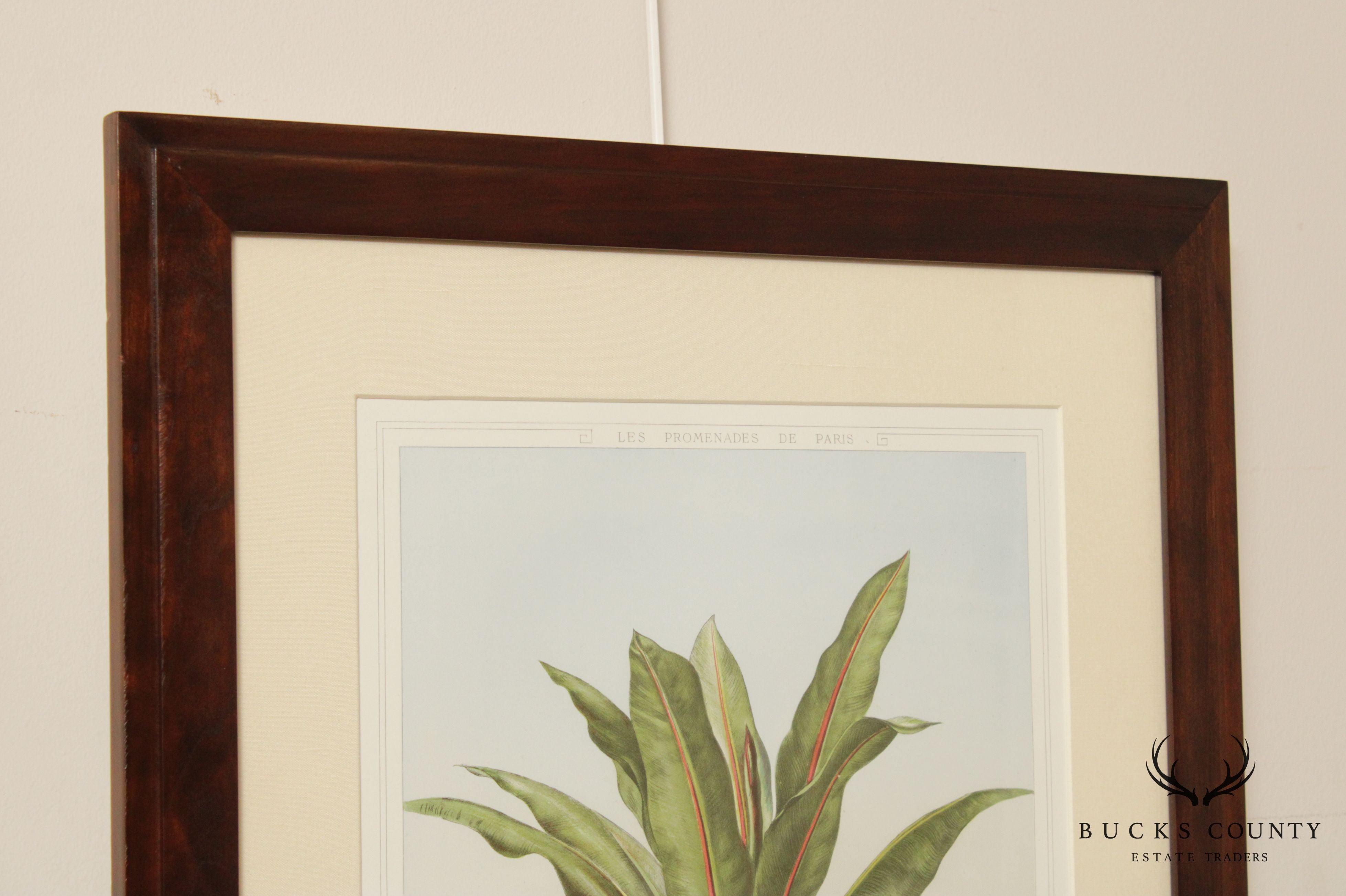 Le Promenades de Paris 'Musa Ensete' Lithograph after Francois Frederic Grobon