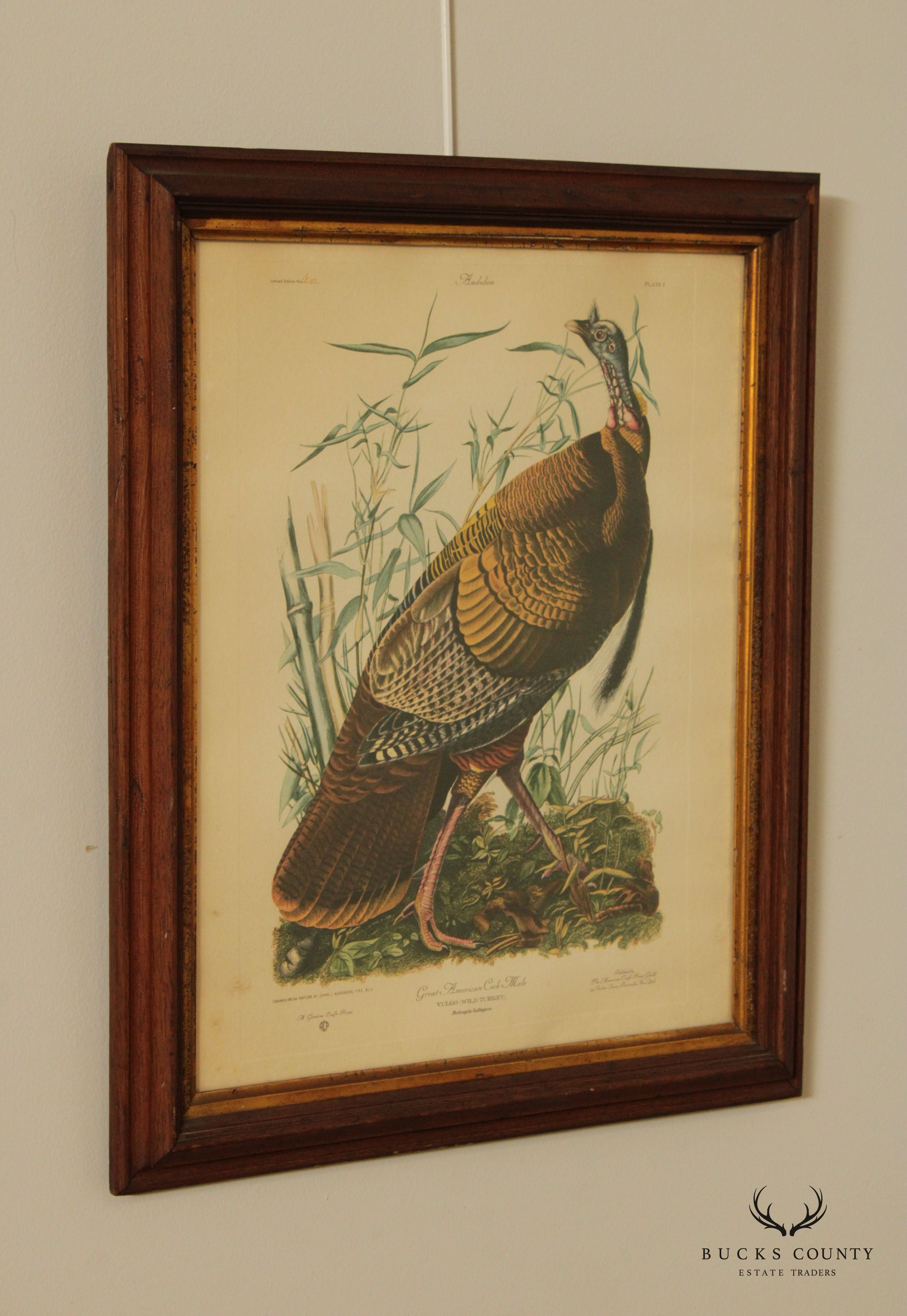 Vintage 20th C. American Craft Print Guild Wild Turkey, After John James Audubon