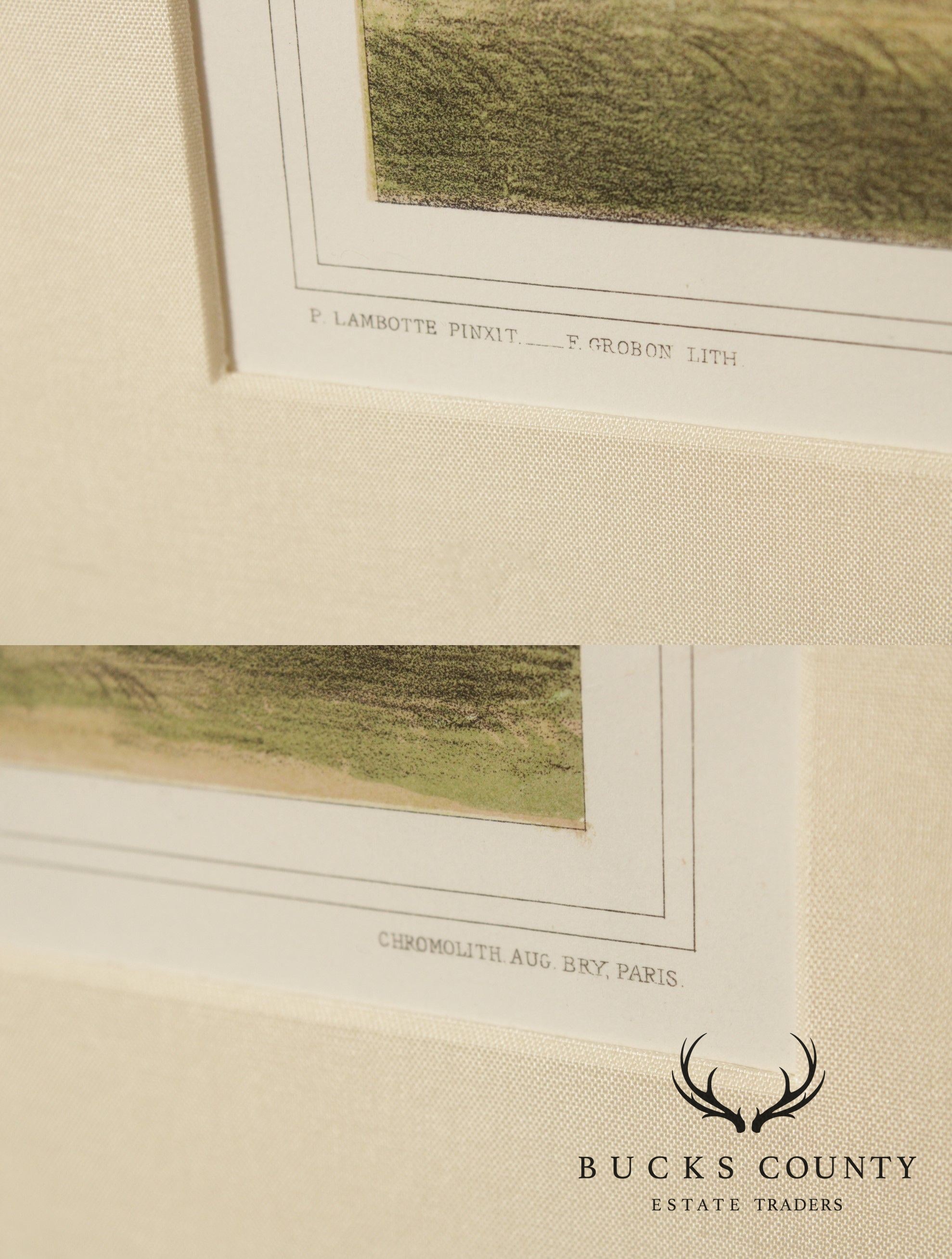 Le Promenades de Paris 'Musa Ensete' Lithograph after Francois Frederic Grobon