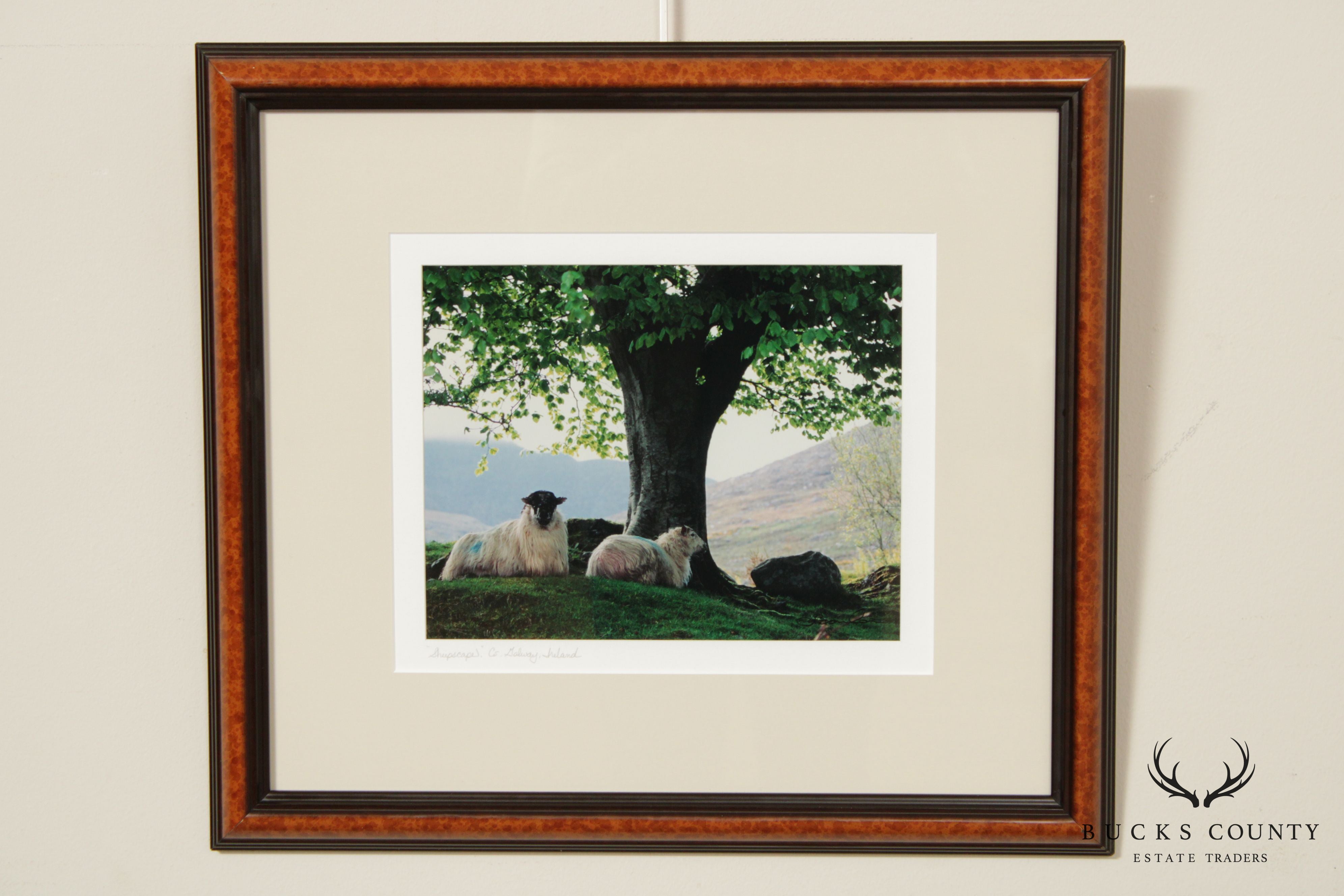 Ireland 'Sheepscape' Landscape Photograph by John and Debra Scanlan
