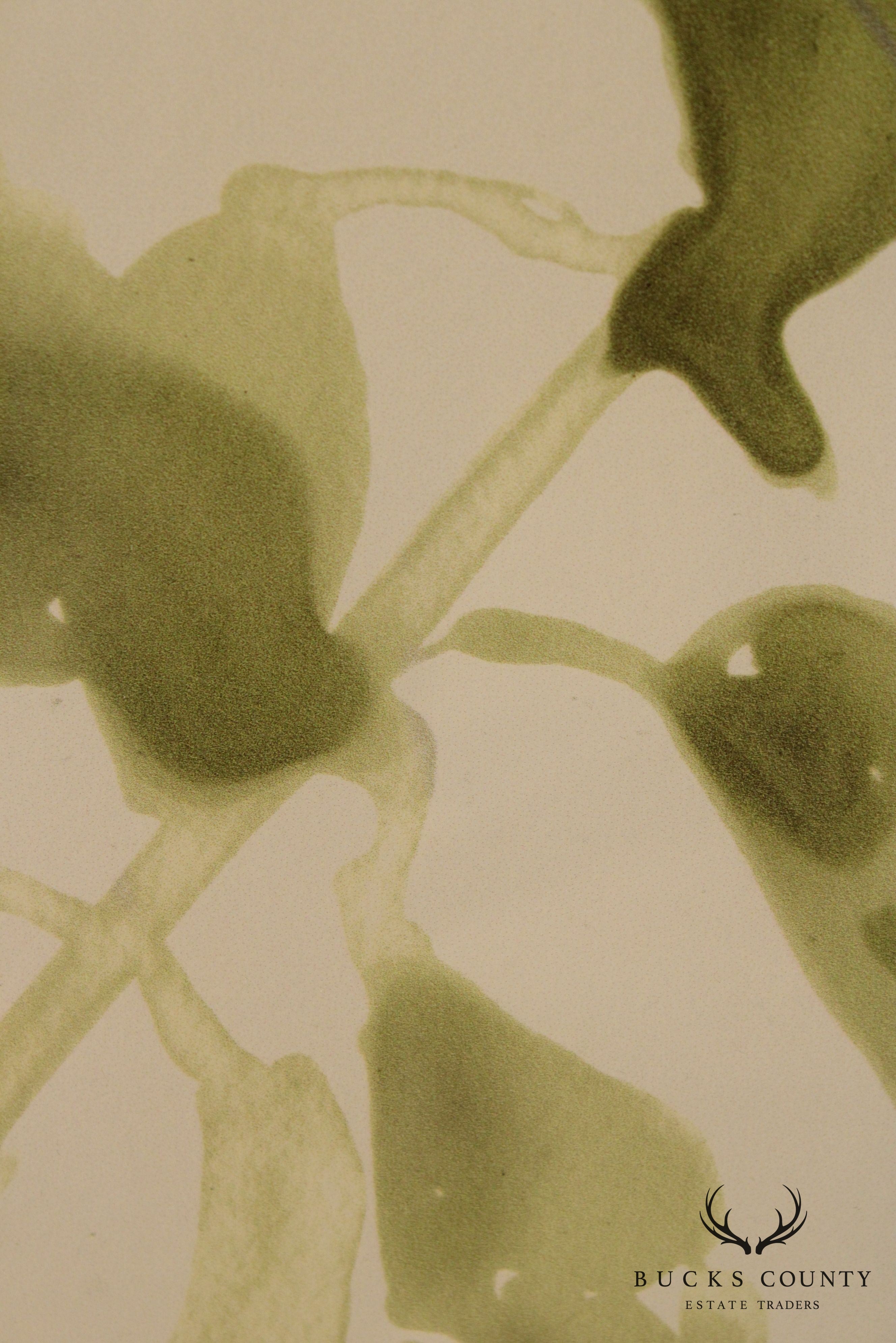 Abstract Fauna Assortment Custom Framed Giclee Print