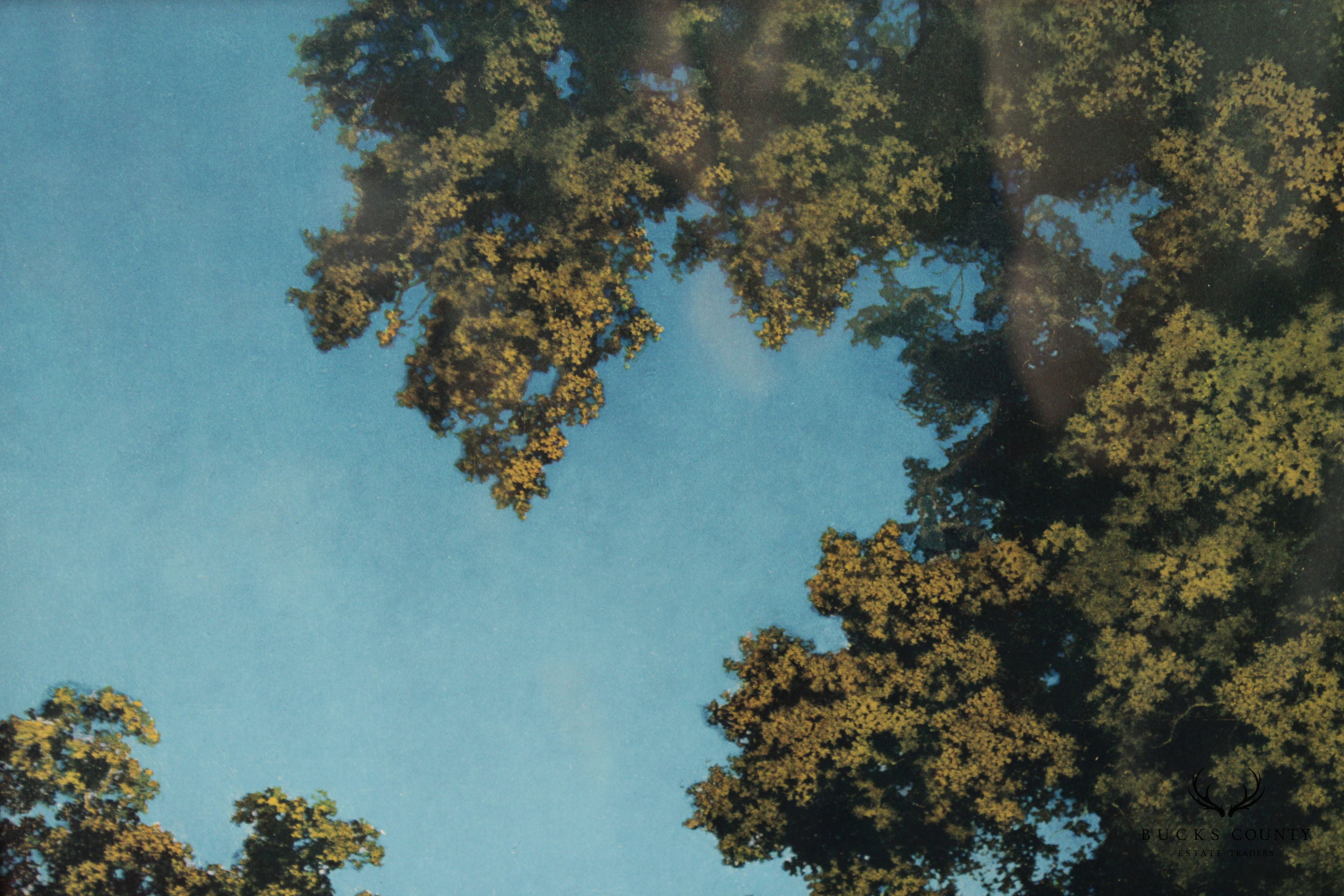 Maxfield Parrish Arts & Crafts Framed 'The Lute Players' Print