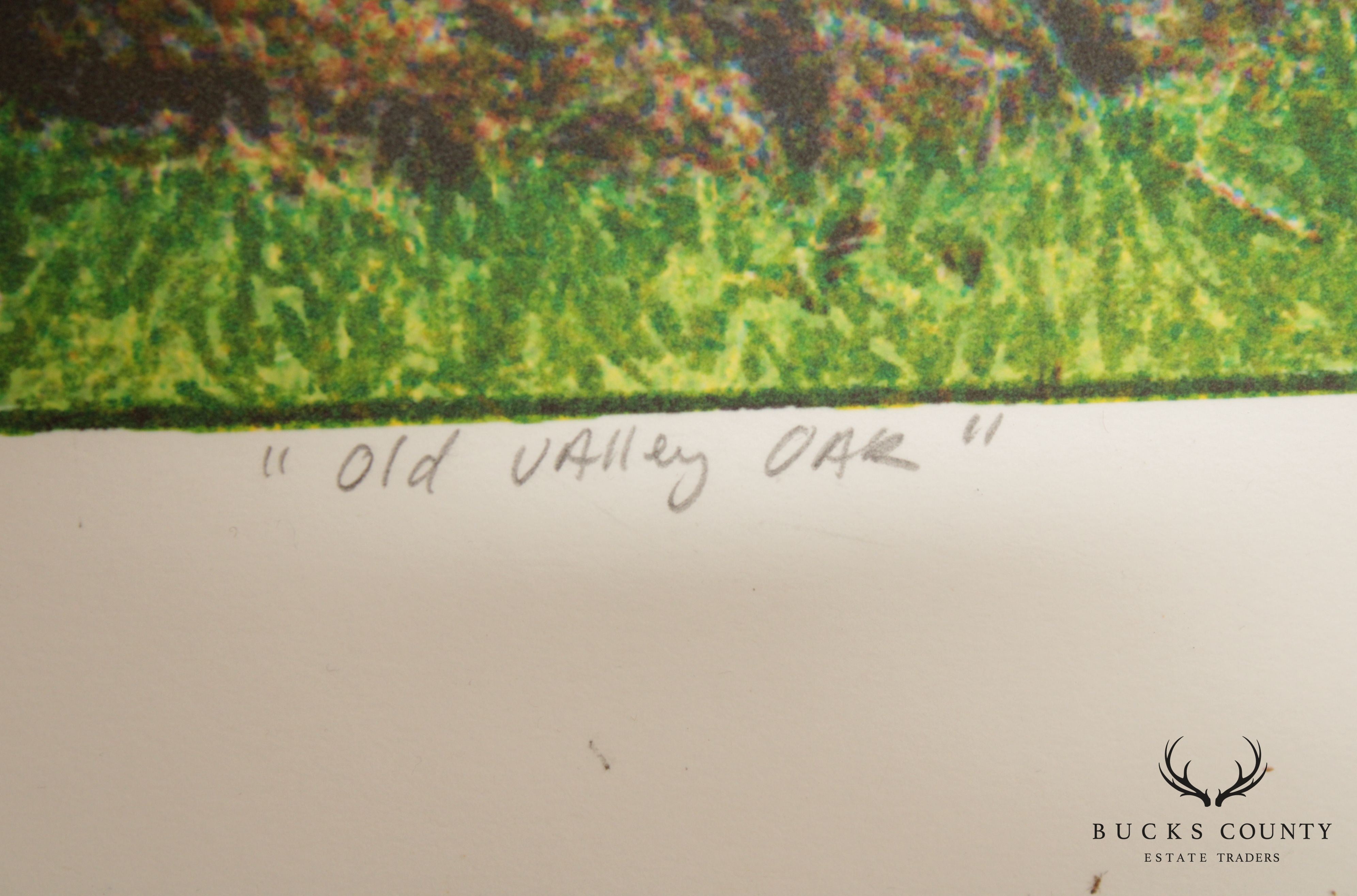 Michael Verlangieri 'Old Oak Valley' Giclee Print
