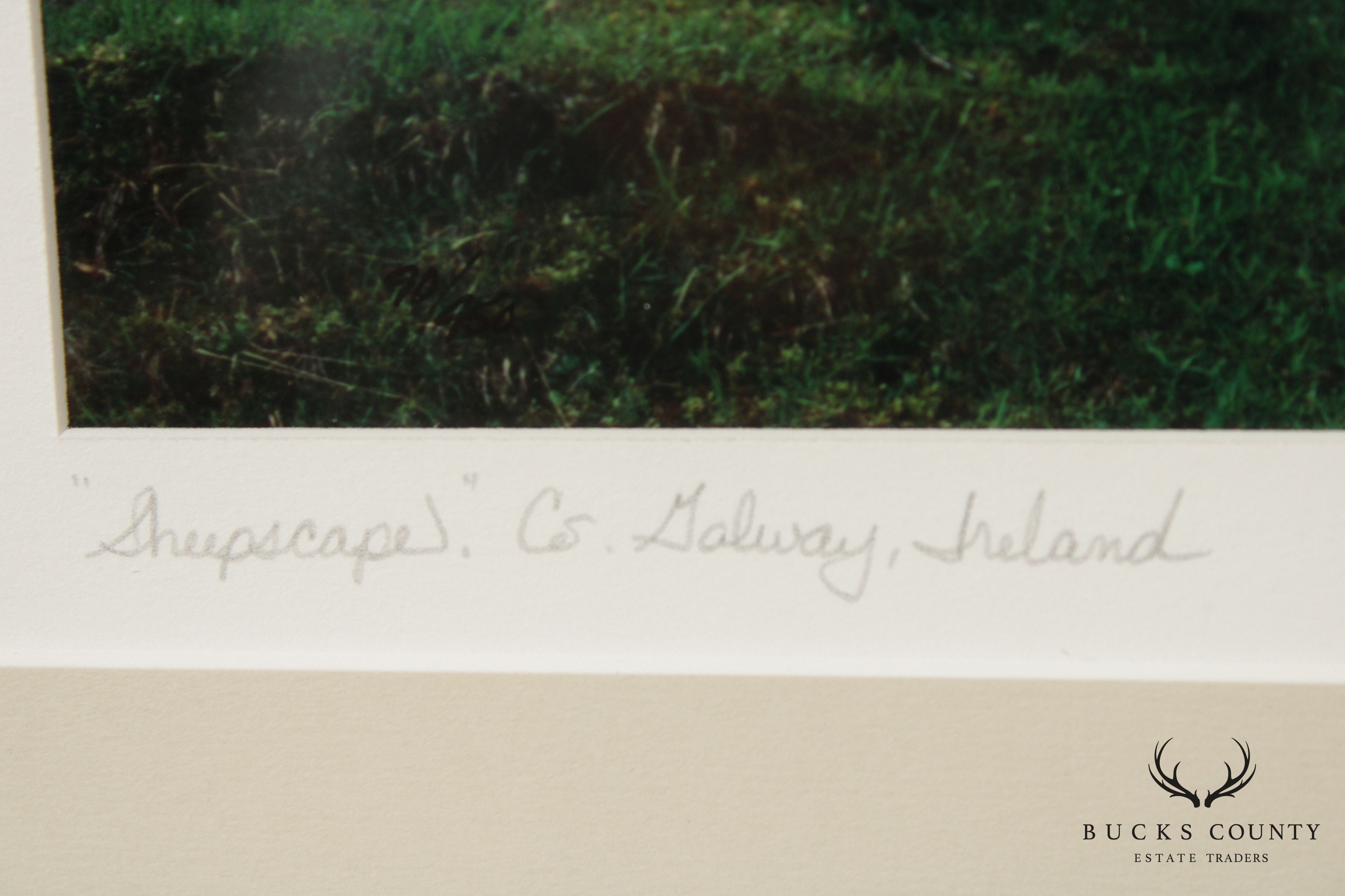 Ireland 'Sheepscape' Landscape Photograph by John and Debra Scanlan