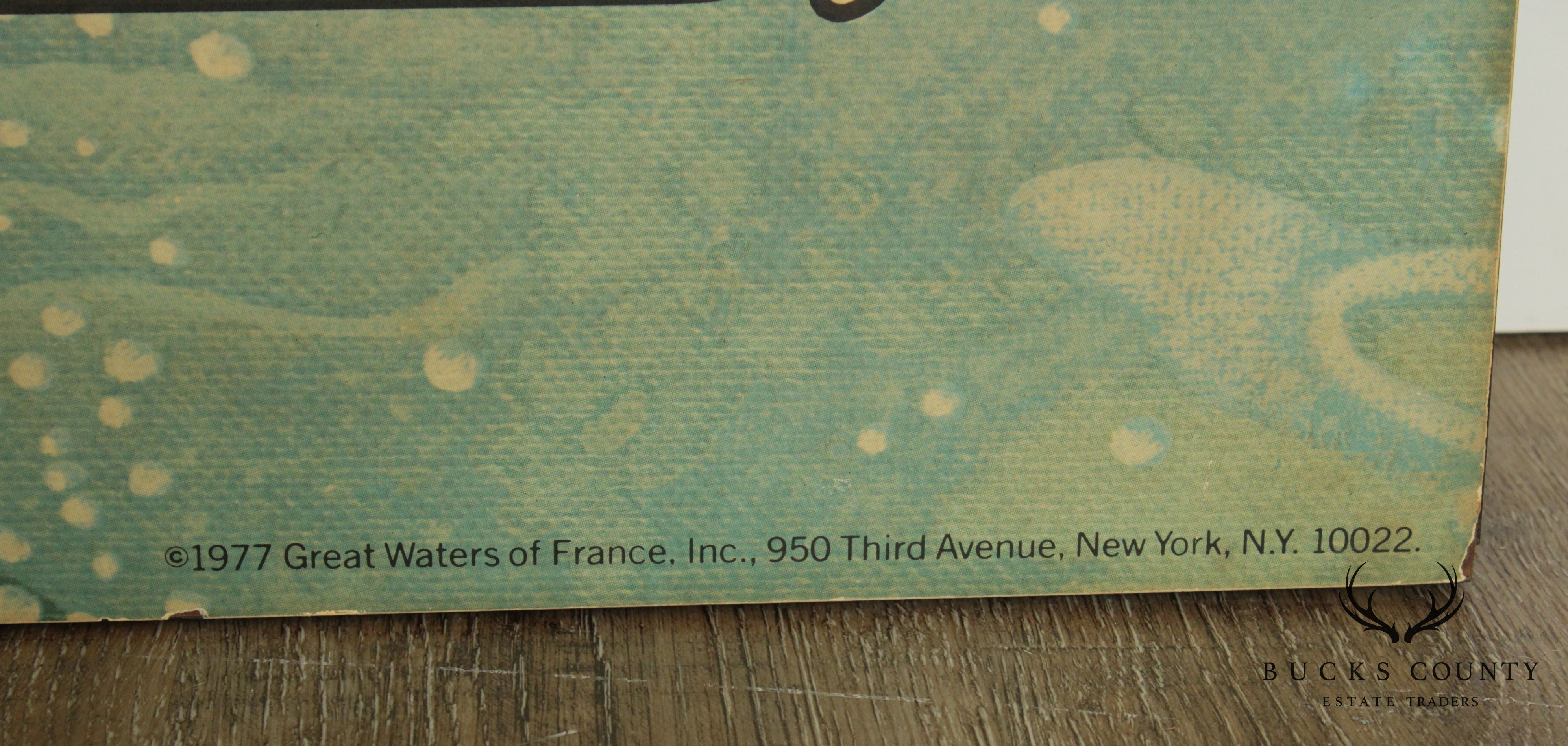 Perrier Large Vintage Decorative Advertising Wall Panel