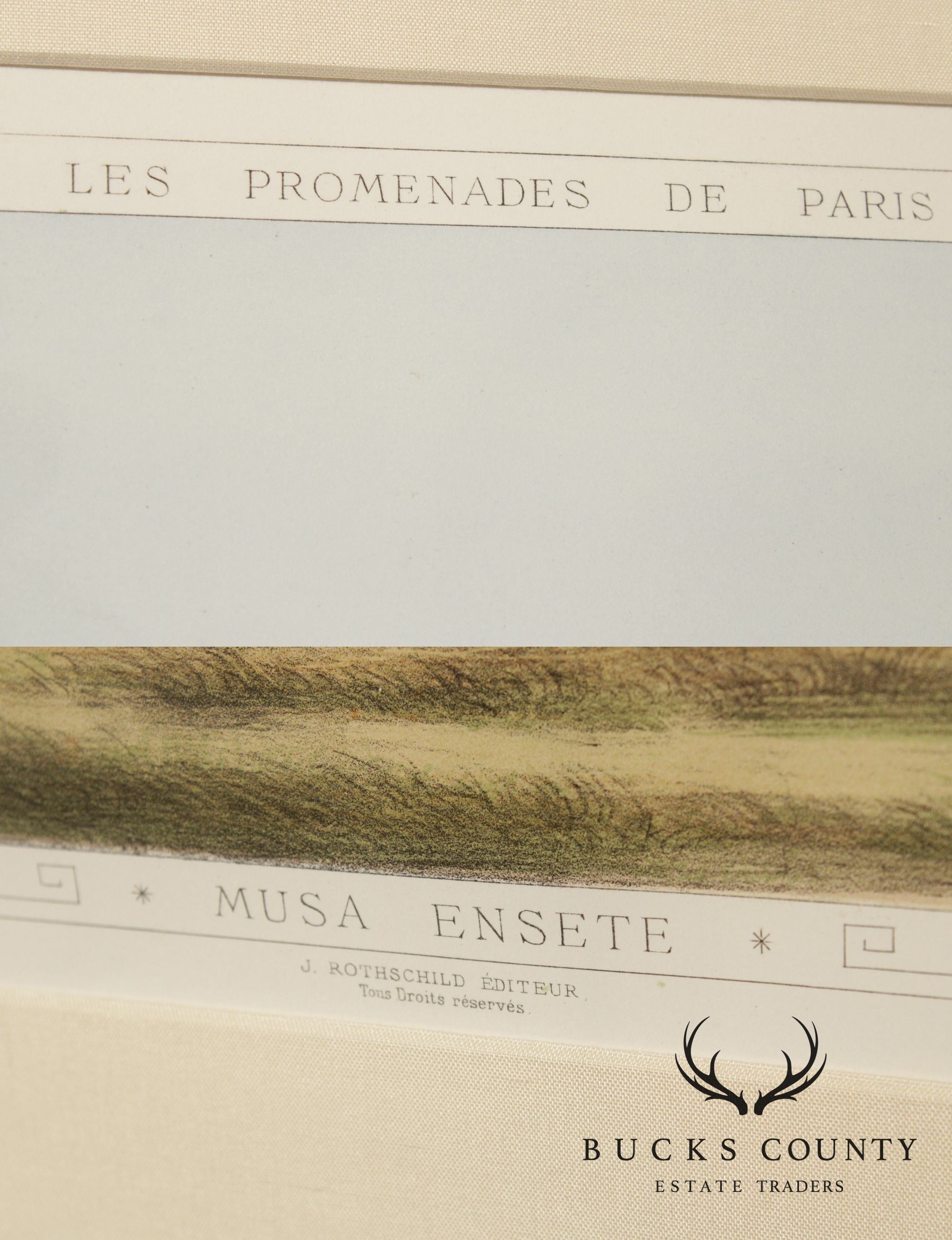 Le Promenades de Paris 'Musa Ensete' Lithograph after Francois Frederic Grobon