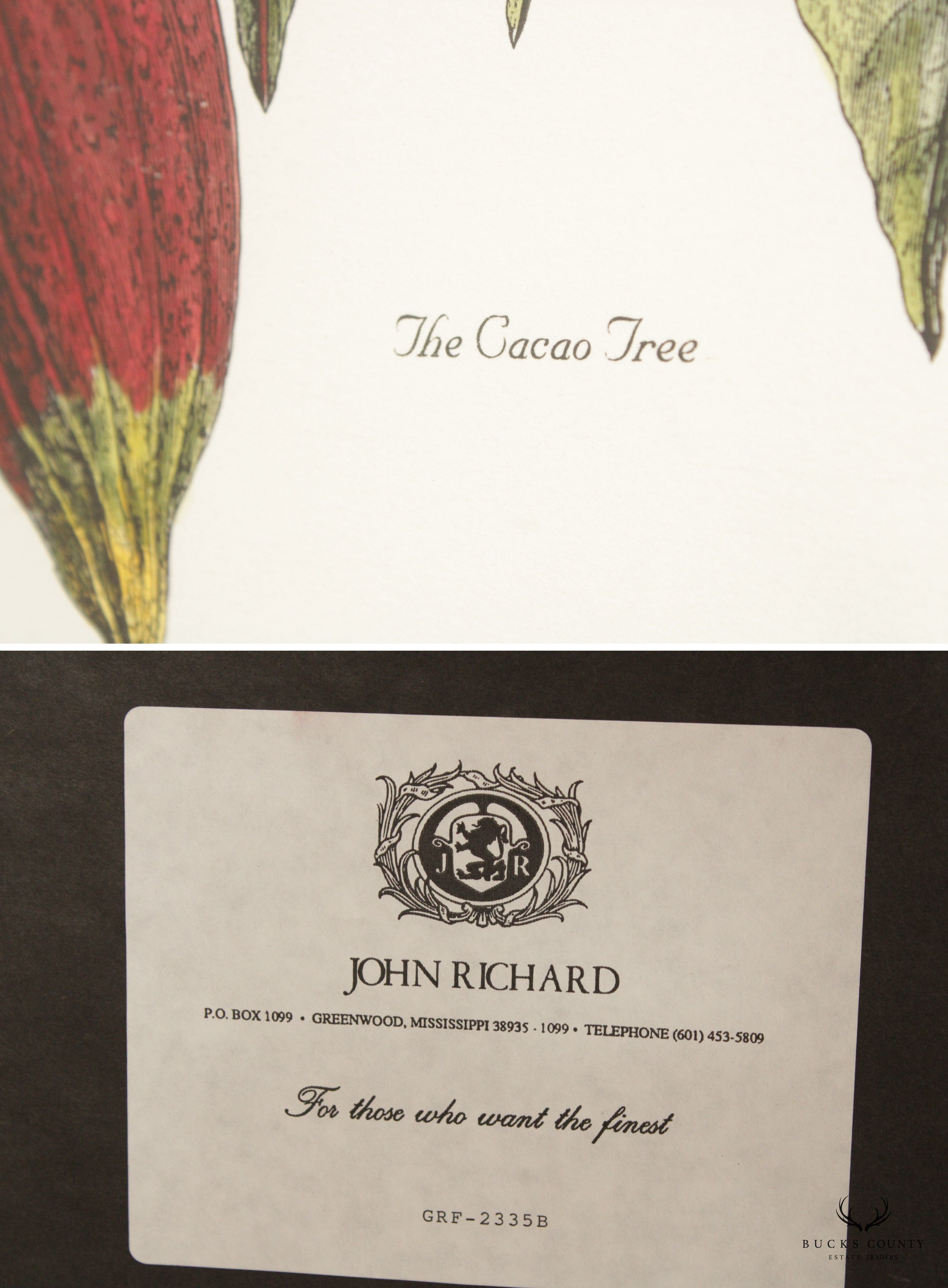 John Richard 'The Cacao Tree' Botanical Print, Custom Framed