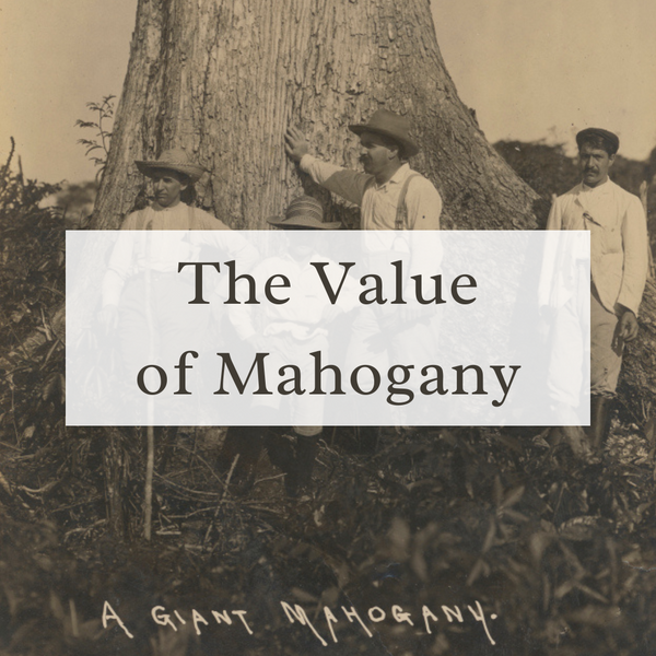 The Value of Mahogany