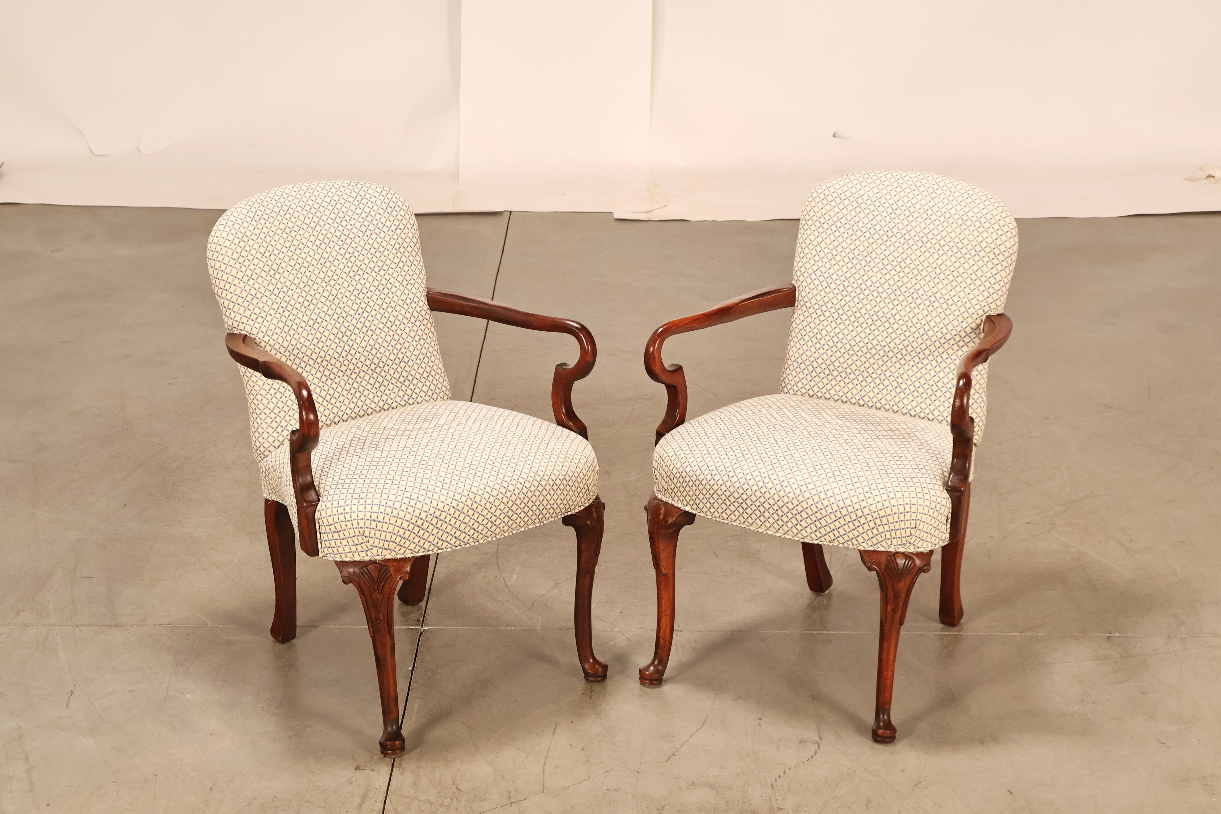 New Arrival
