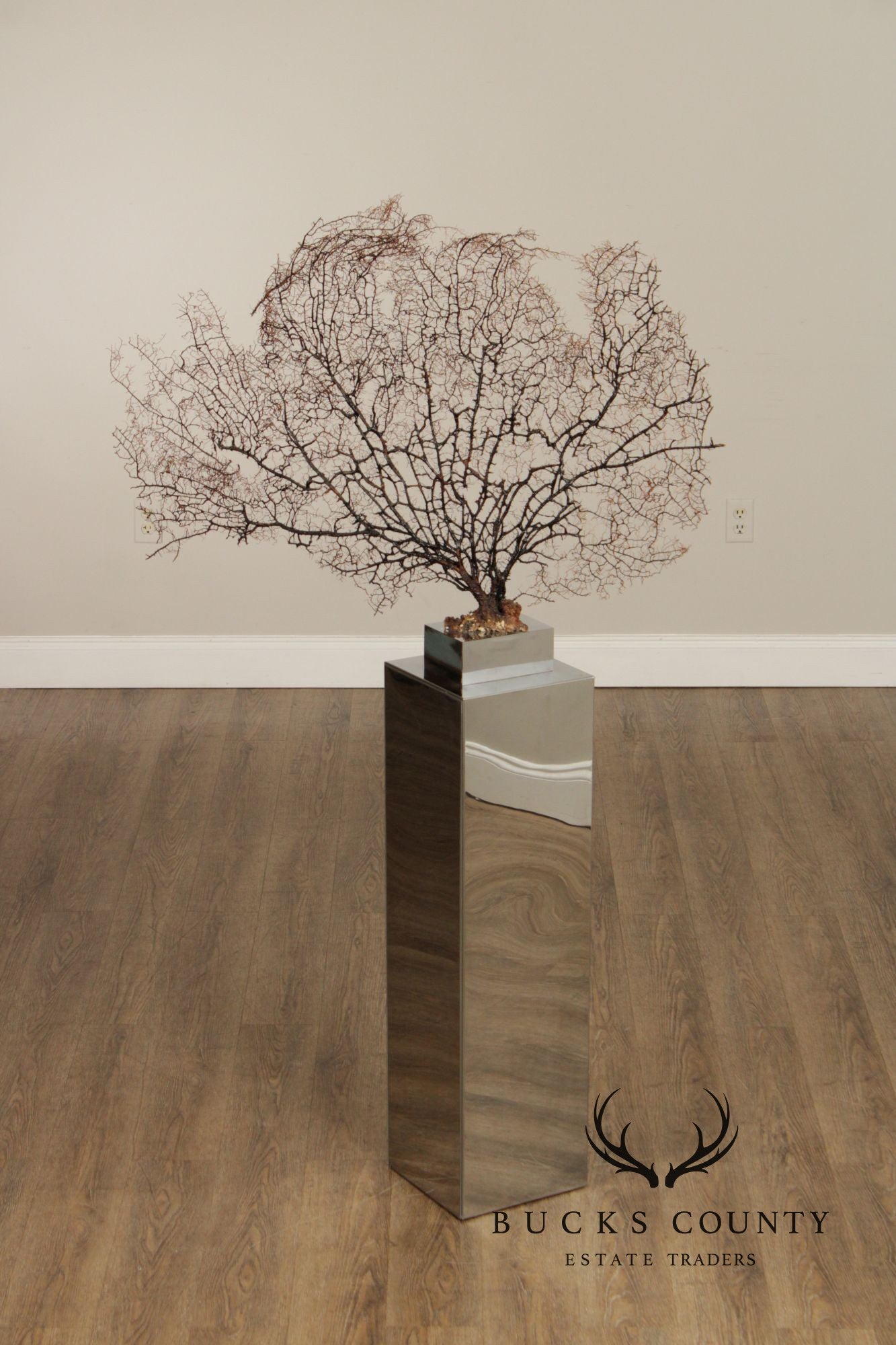 Modern Style Polished Stainless Steel Pedestal With Coral Fan Sculpture