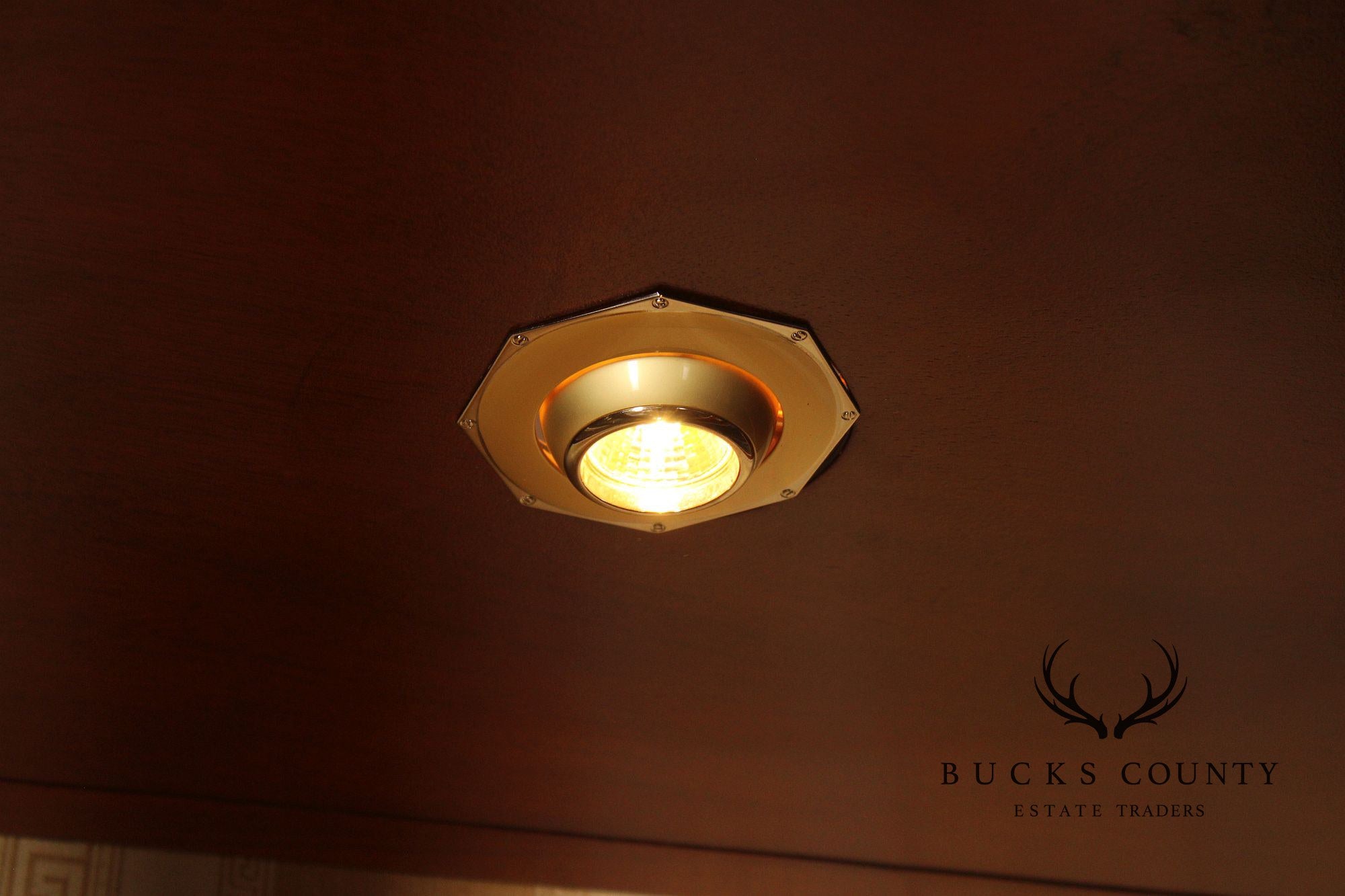 Regency Style Mahogany And Ebonized Pair Of Display Cabinets By Infinity Gigasso