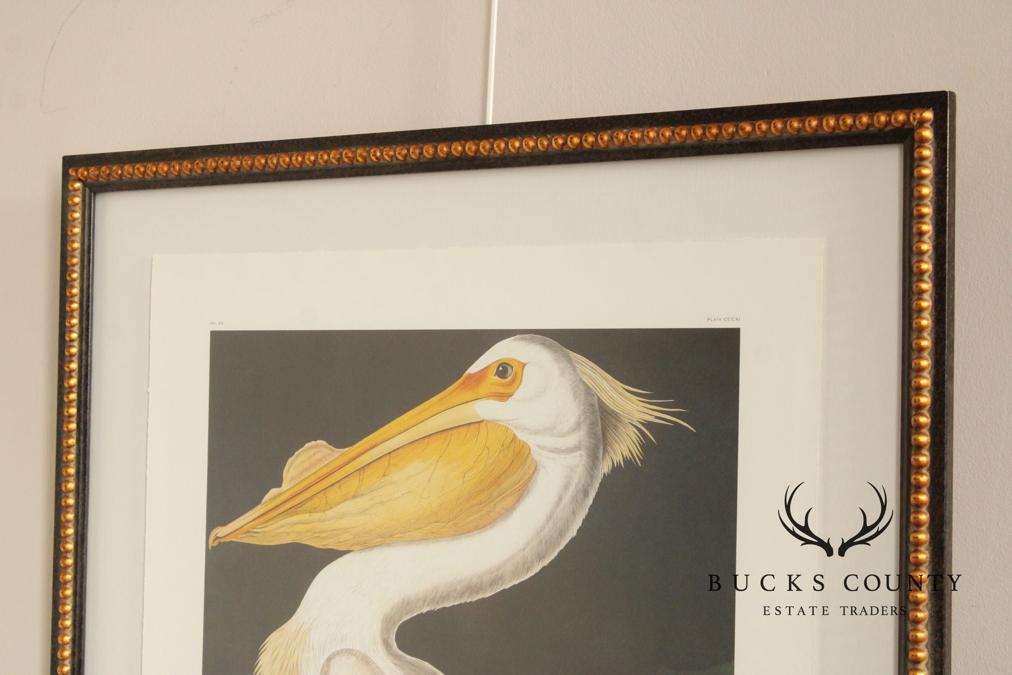 John James Audubon Ornithological, 'American White Pelican'