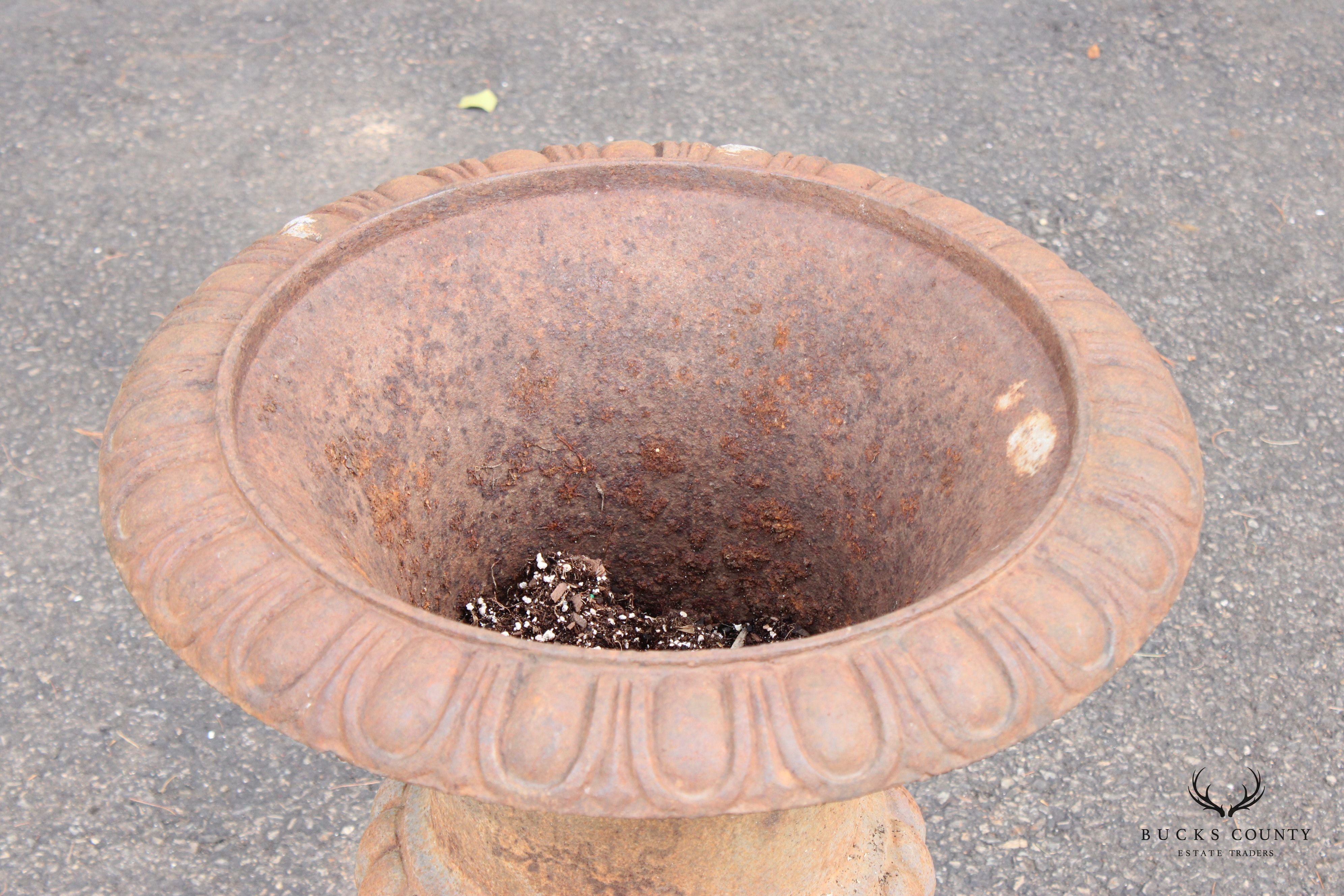 French Style Vintage Pair of Cast Iron Garden Urns