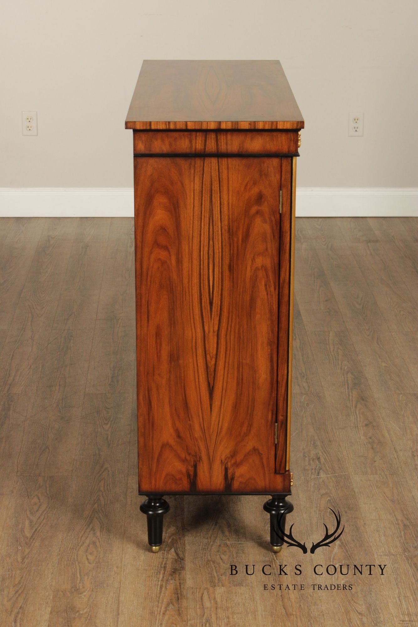 Regency Style Rosewood Mirrored Two Door Cabinet