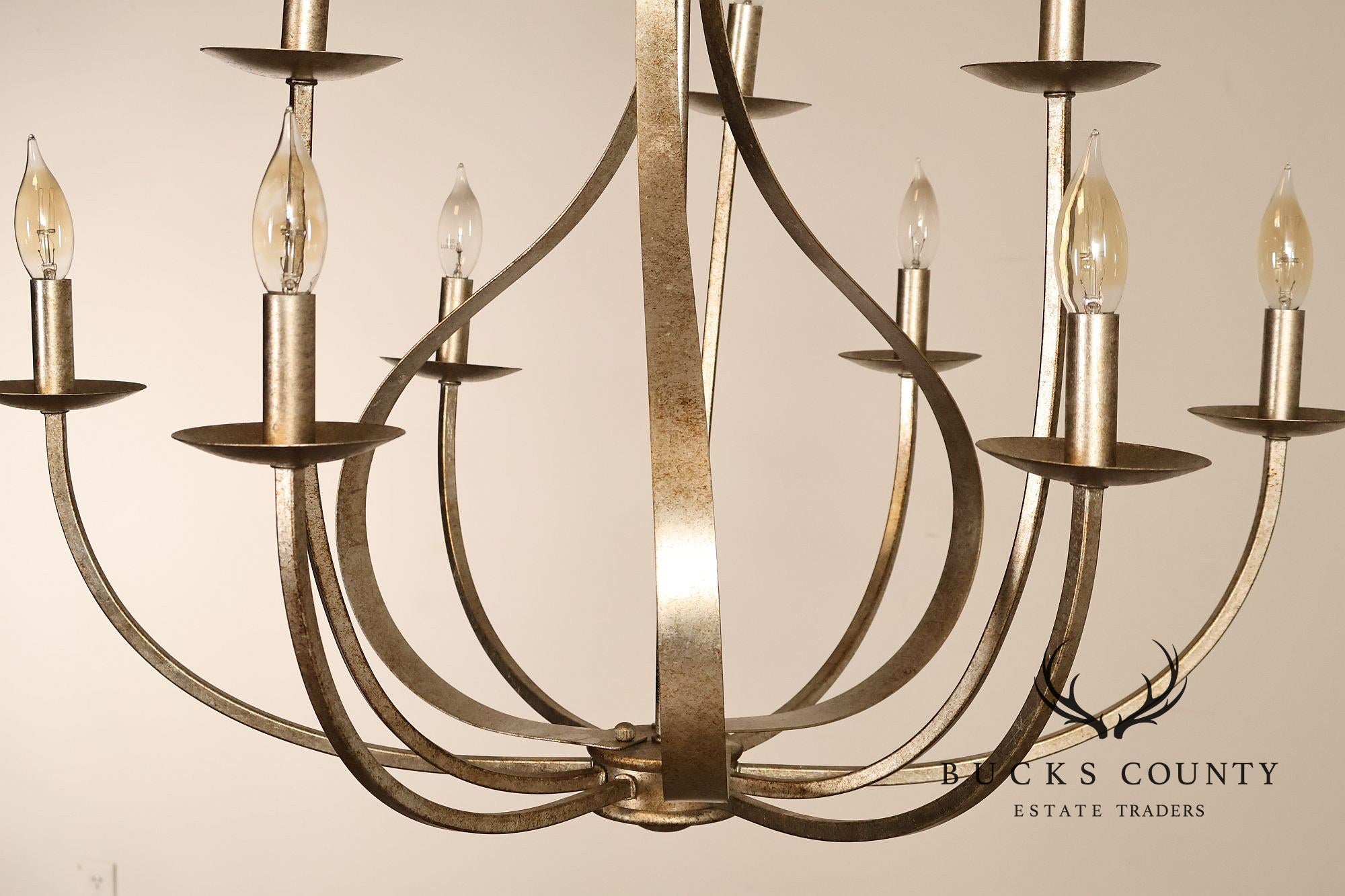 Quoizel 'Serenity' Nine-Light Candelabra Chandelier