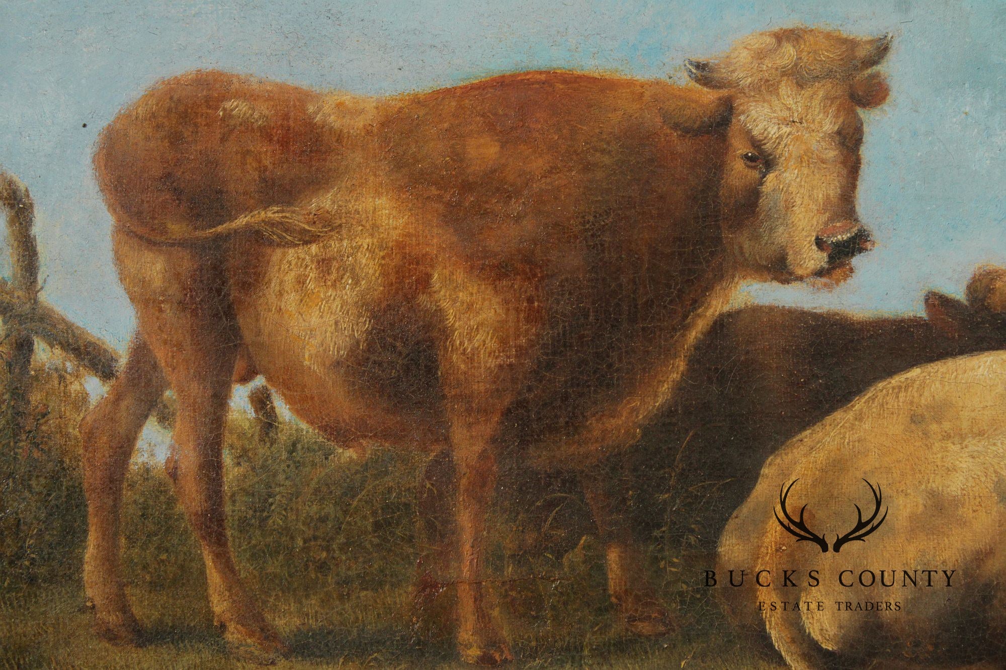 Antique European School Oil Painting, Cattle Grazing