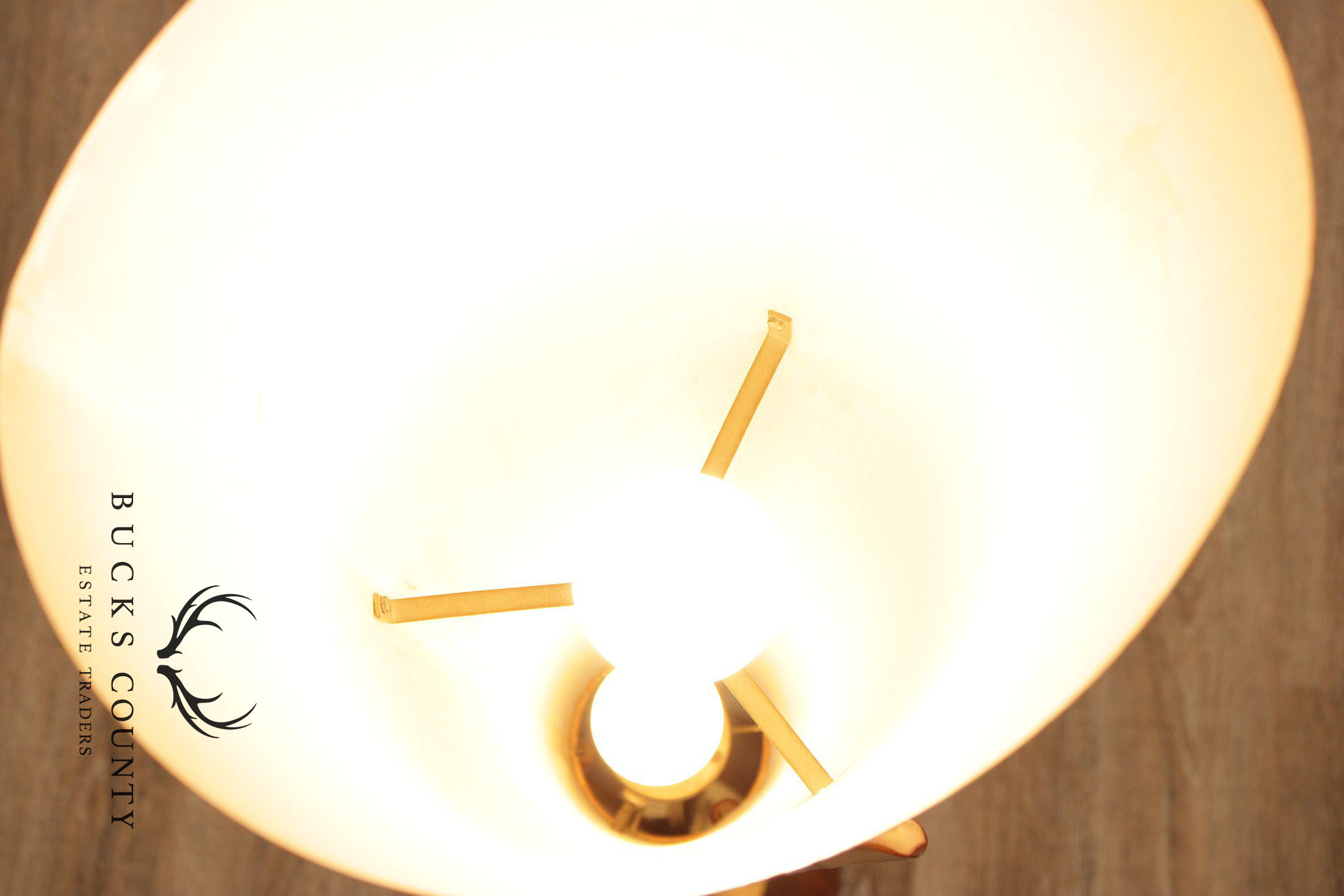 Modeline Mid Century Modern Walnut Floor Lamp