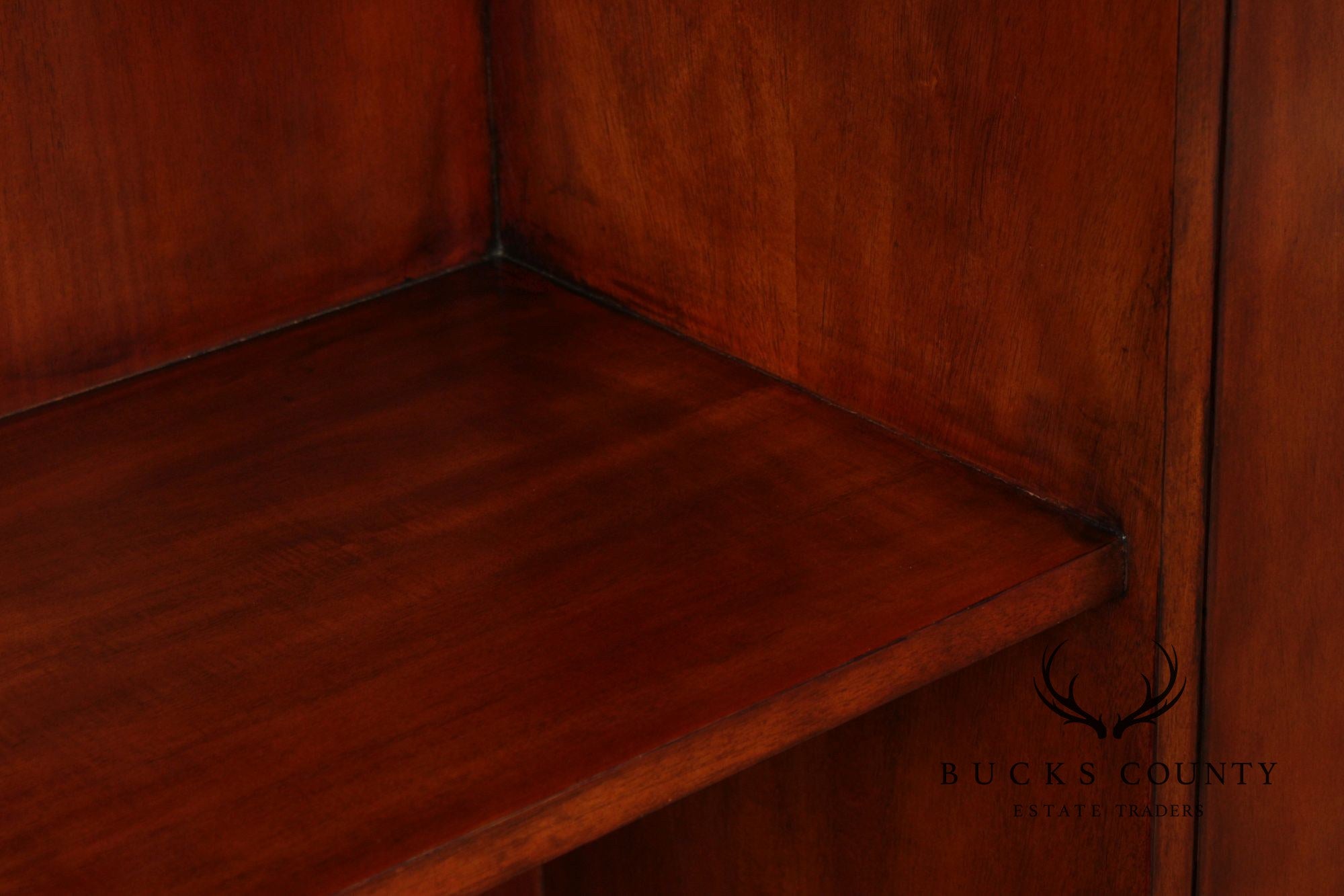 Regency Style Rosewood Mirrored Two Door Cabinet