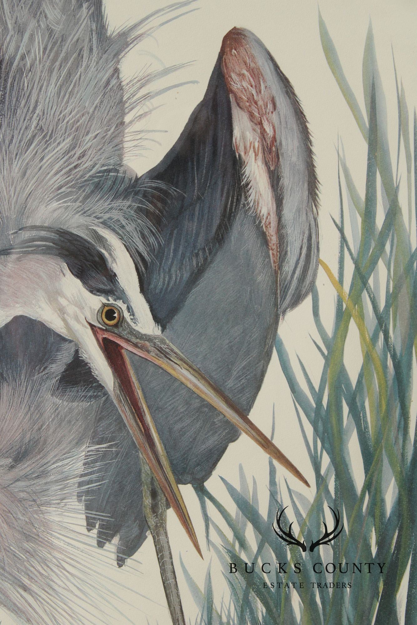 Carroll Tyson, Jr. Offset Lithograph, 'Great Blue Heron'