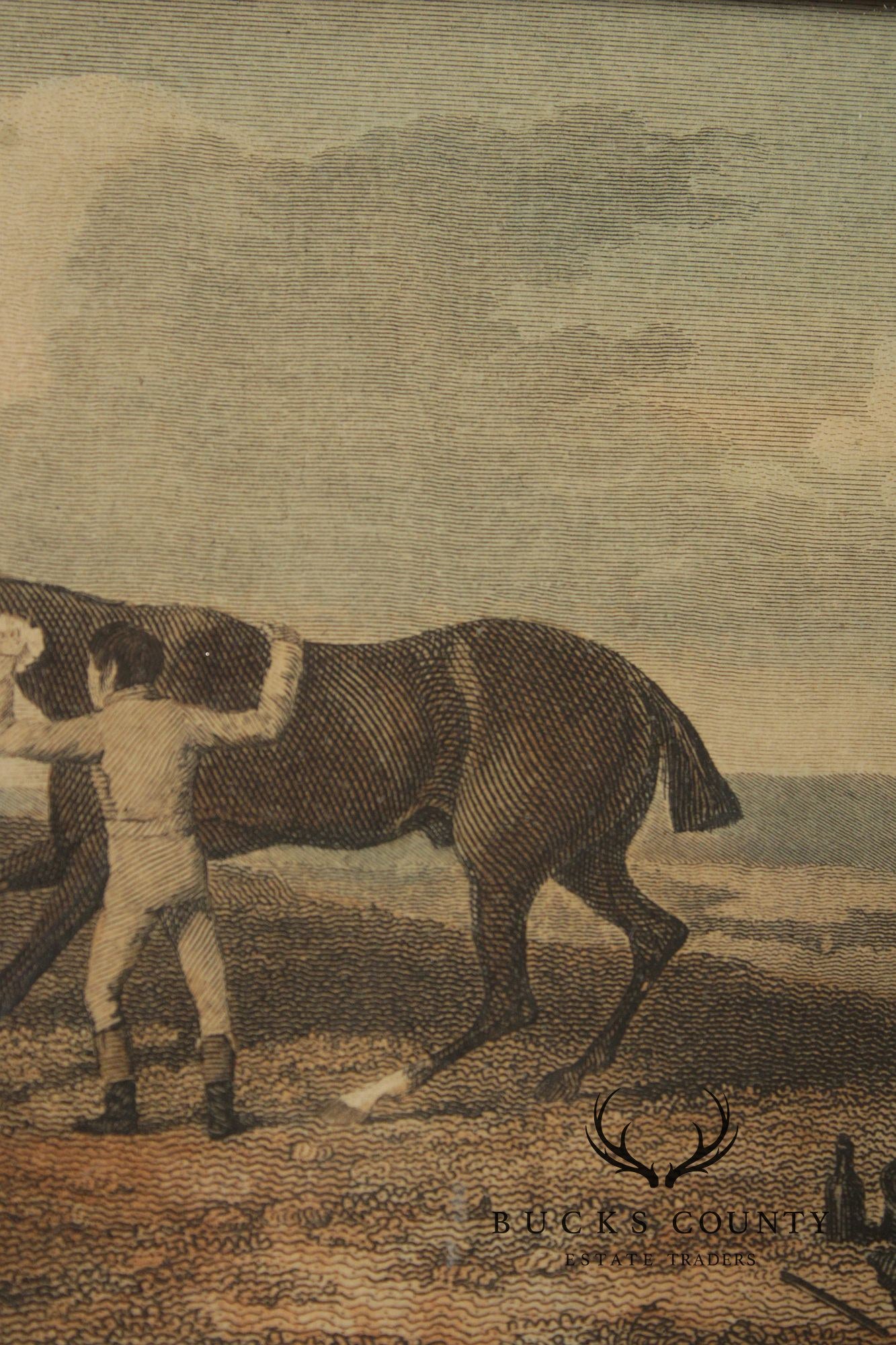 English Traditional Antique Framed Equestrian Print, 'Rubbing Down'