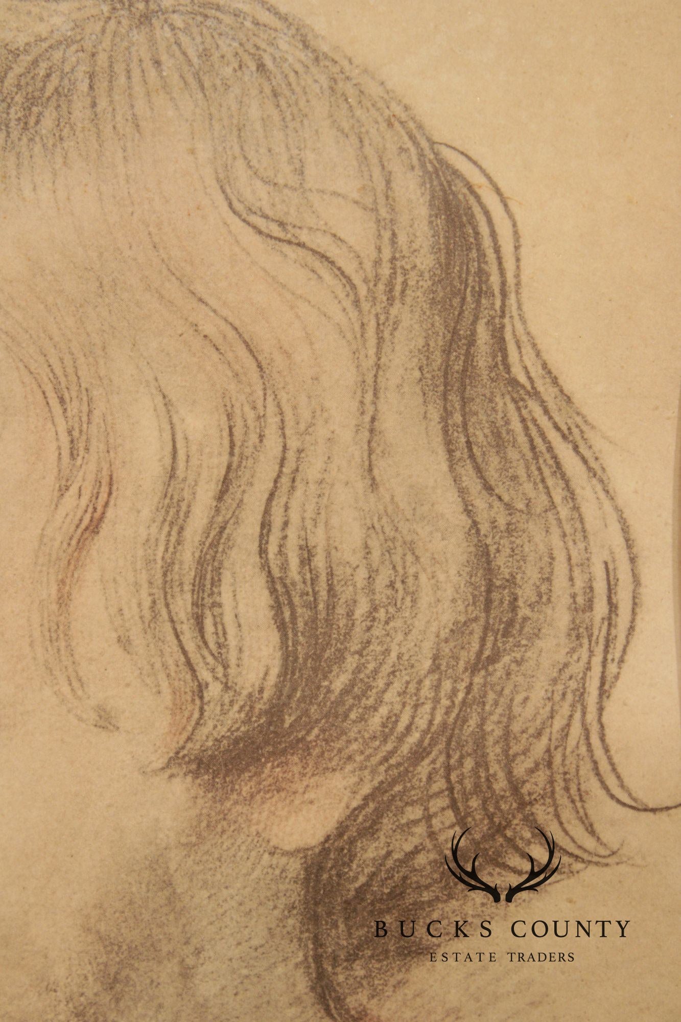 Peter Paul Rubens Framed Print, 'Portrait of a Boy'