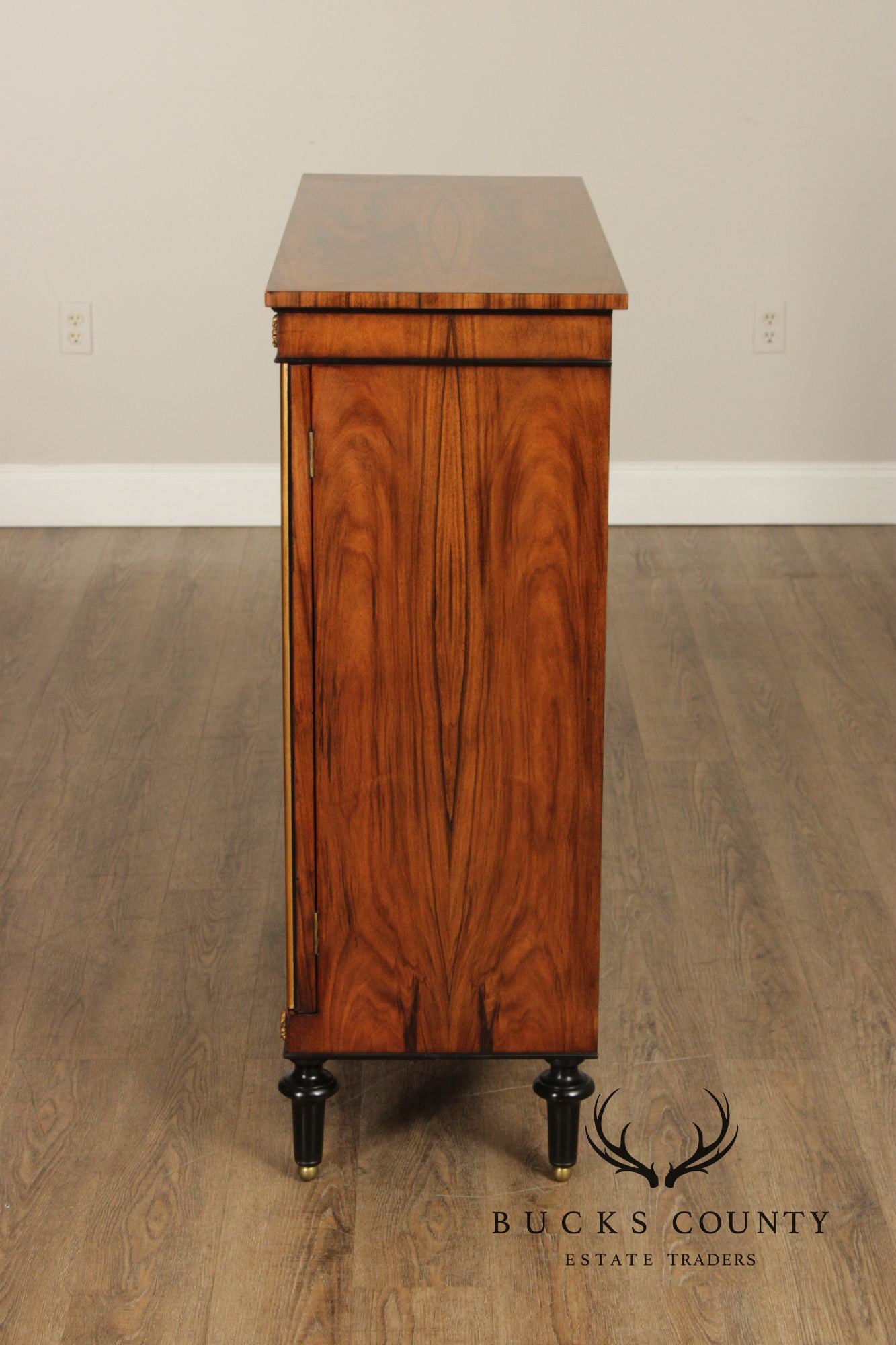 Regency Style Rosewood Mirrored Two Door Cabinet
