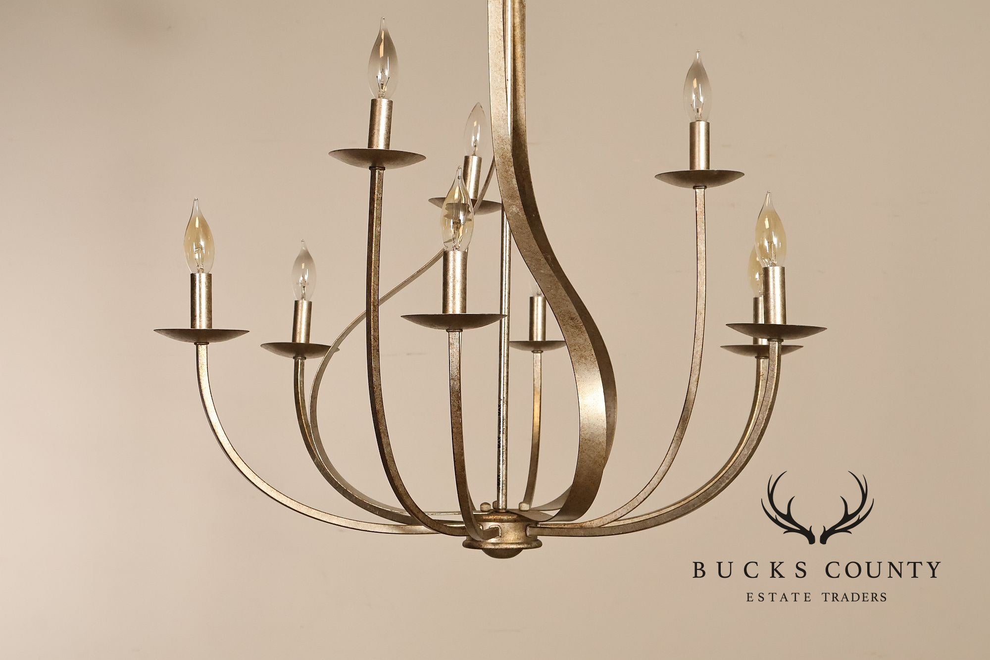 Quoizel 'Serenity' Nine-Light Candelabra Chandelier