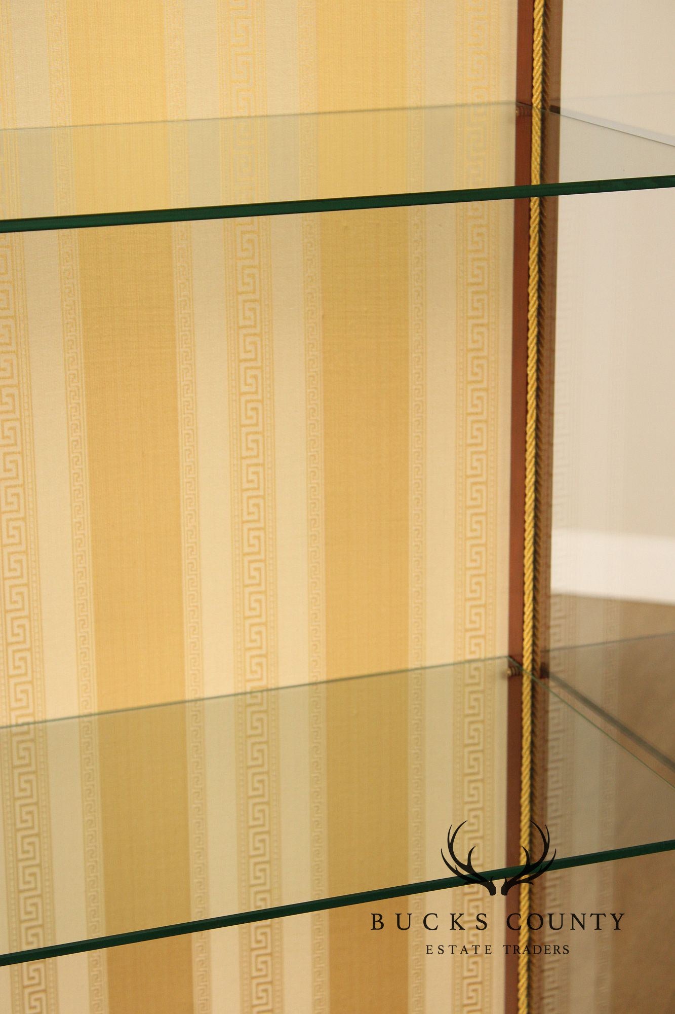 Regency Style Mahogany And Ebonized Pair Of Display Cabinets By Infinity Gigasso