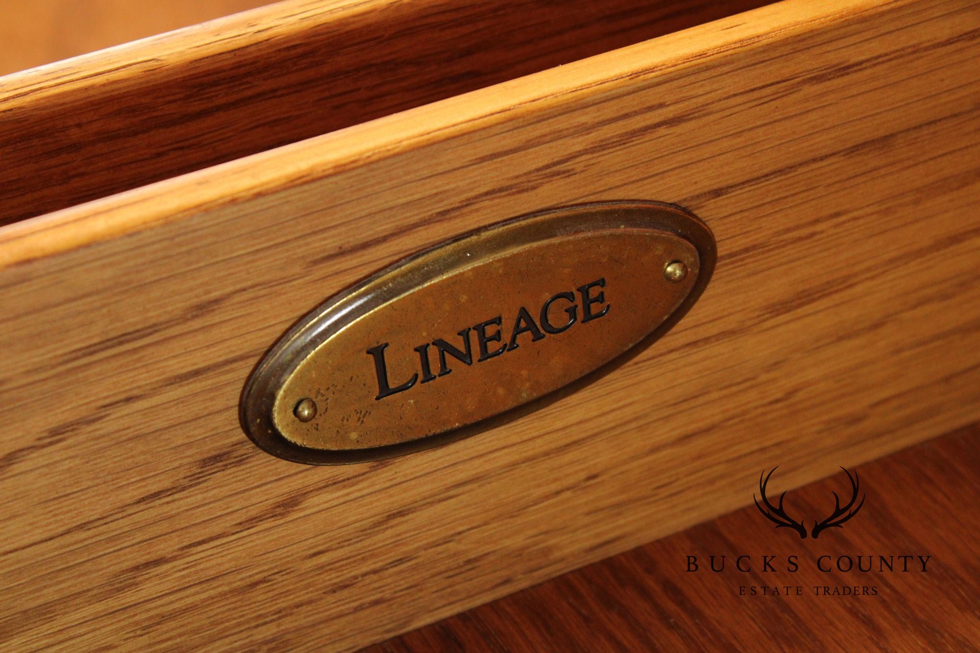 Lineage Chippendale Style Oak Door Chest