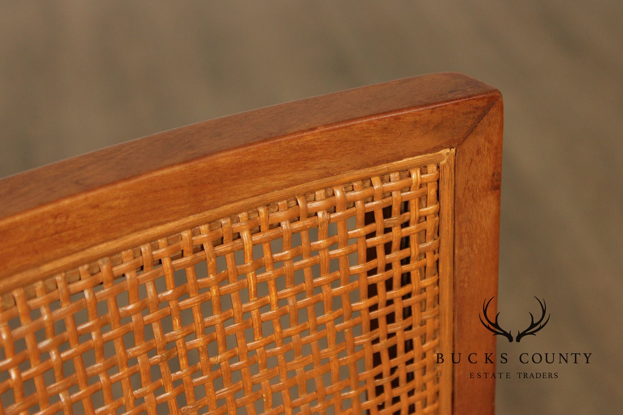 Michael Taylor For Baker Mid Century Modern Set of Six Cane Back Dining Chairs